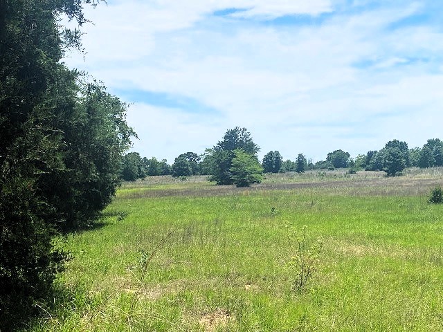 Tbd Cr 1119 Athens TX 75751