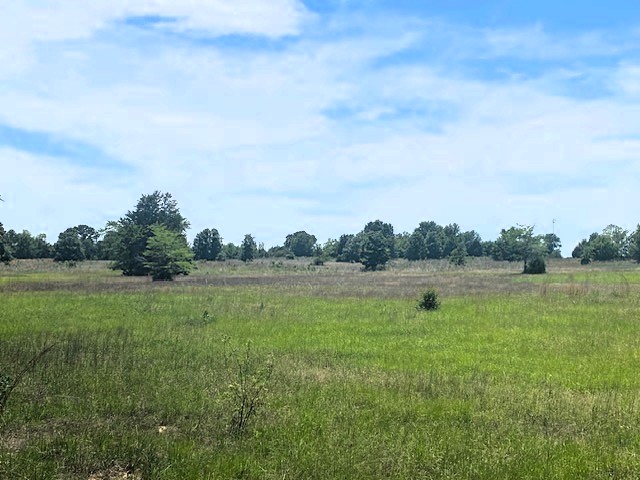 Tbd Cr 1119 Athens TX 75751