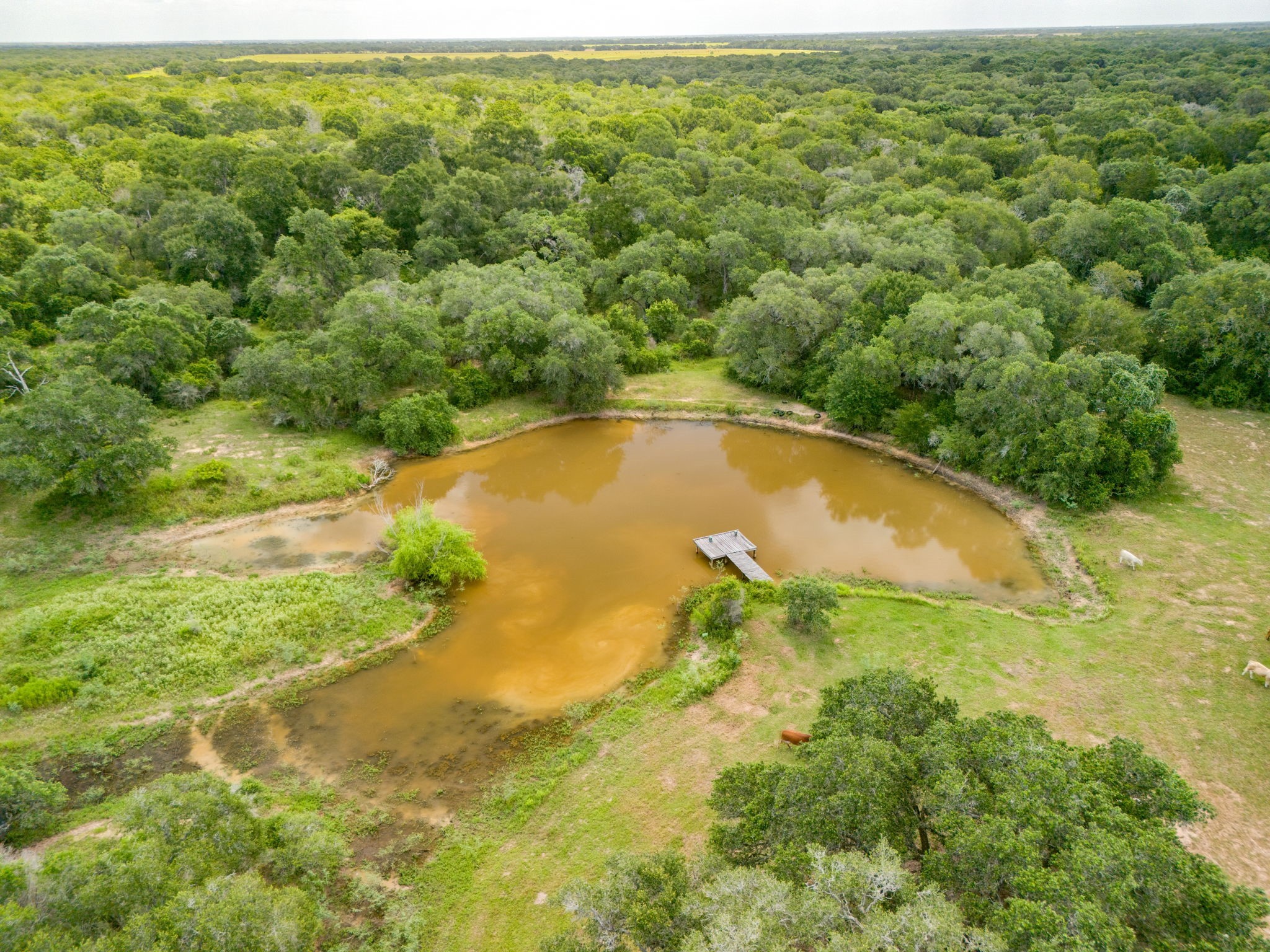0000 Tbd 552.77 Ac Eagle Lake TX 77434