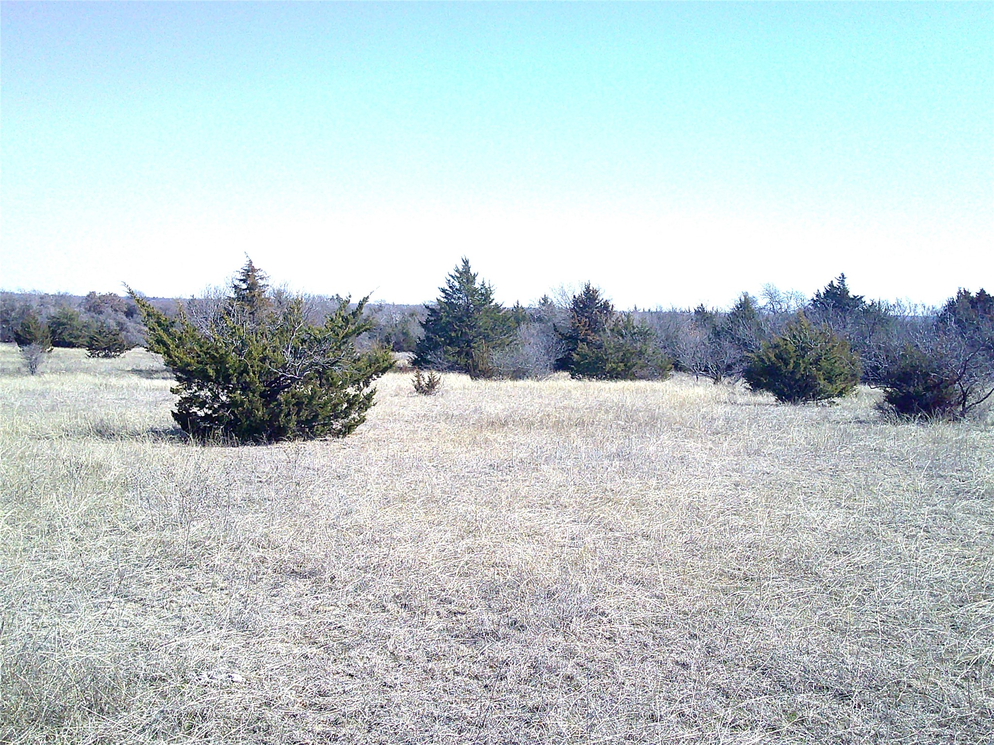 Trail 5 Cr 1750 Chico TX 76431