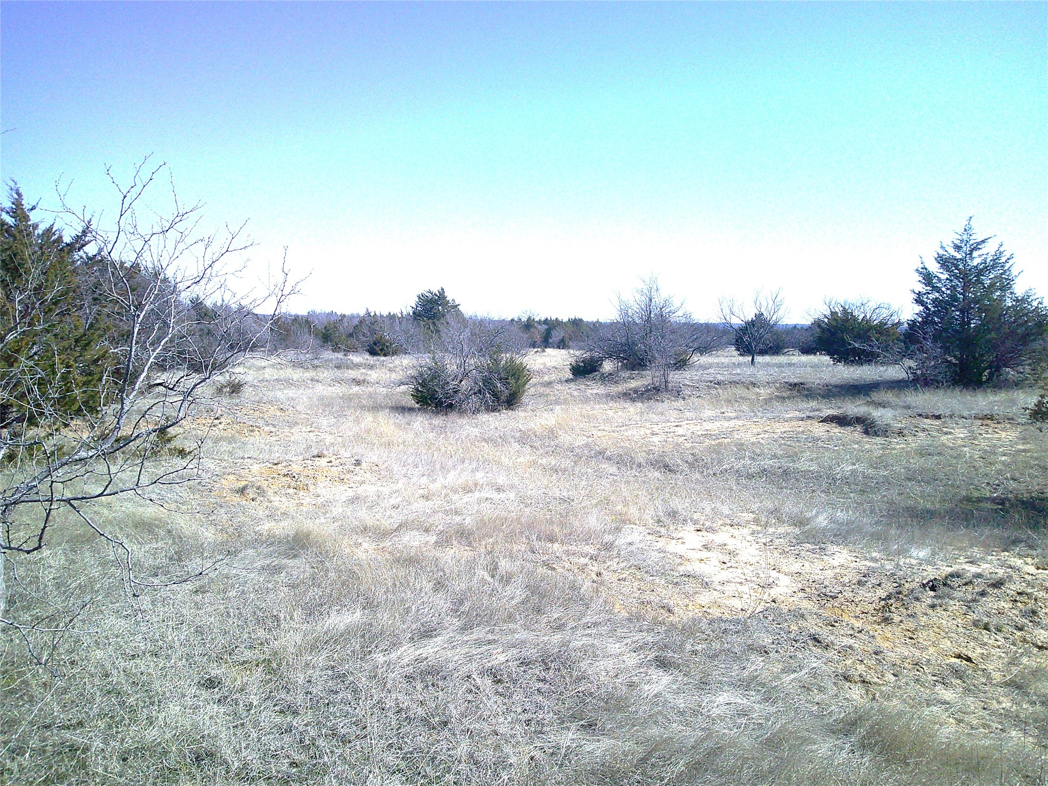 Trail 5 Cr 1750 Chico TX 76431