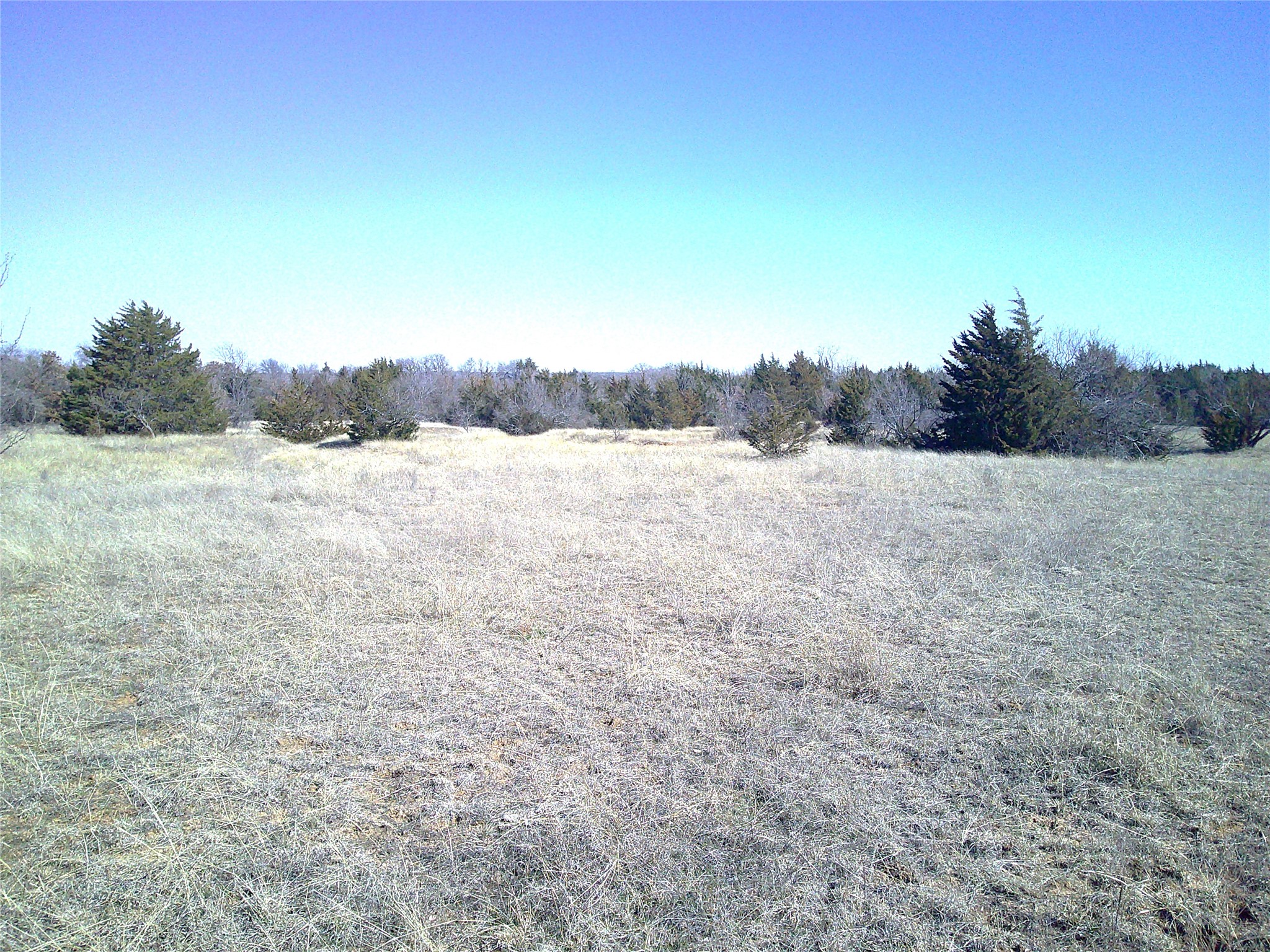 Trail 5 Cr 1750 Chico TX 76431