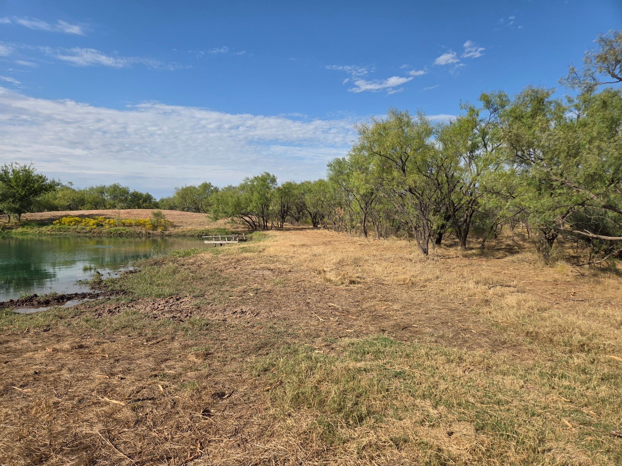 6525 Us 180 Anson TX 79501
