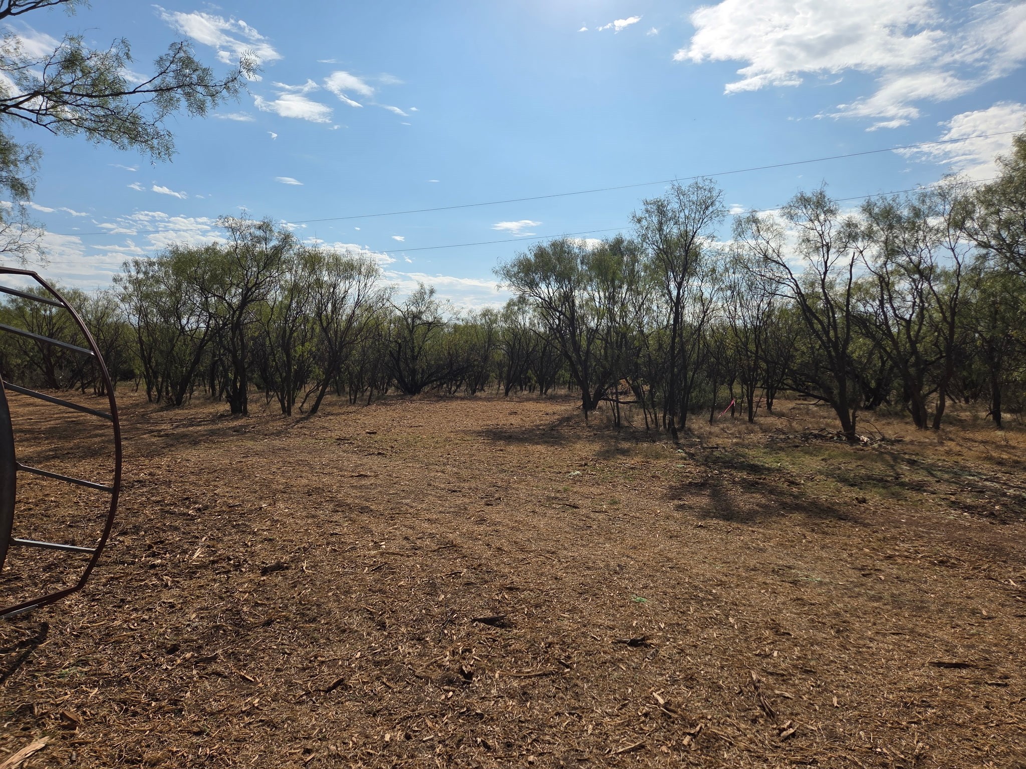 6525 Us 180 Anson TX 79501