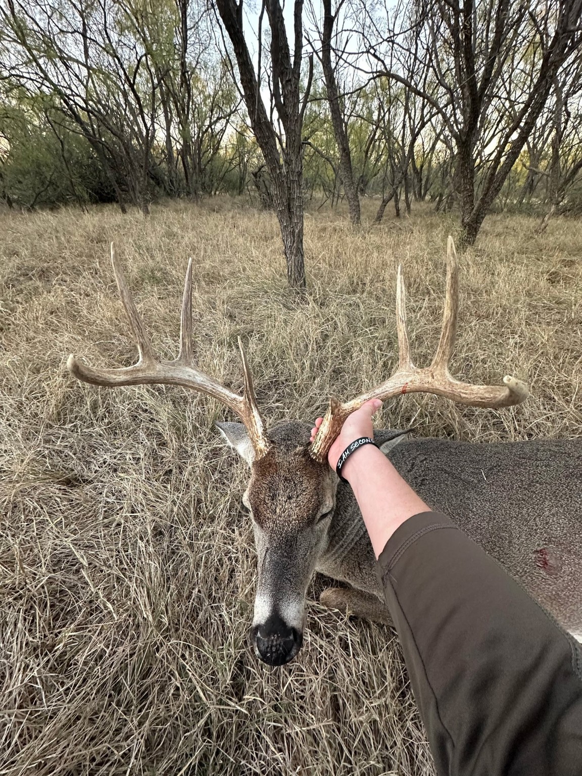 6525 Us 180 Anson TX 79501