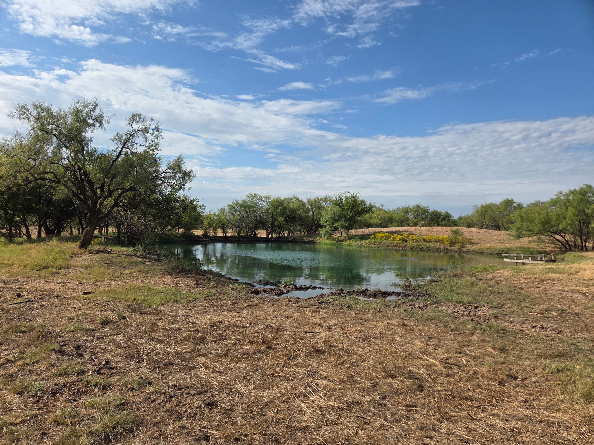 6525 Us 180 Anson TX 79501