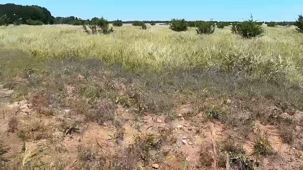374 Yellowstone Drive Oglesby TX 76561