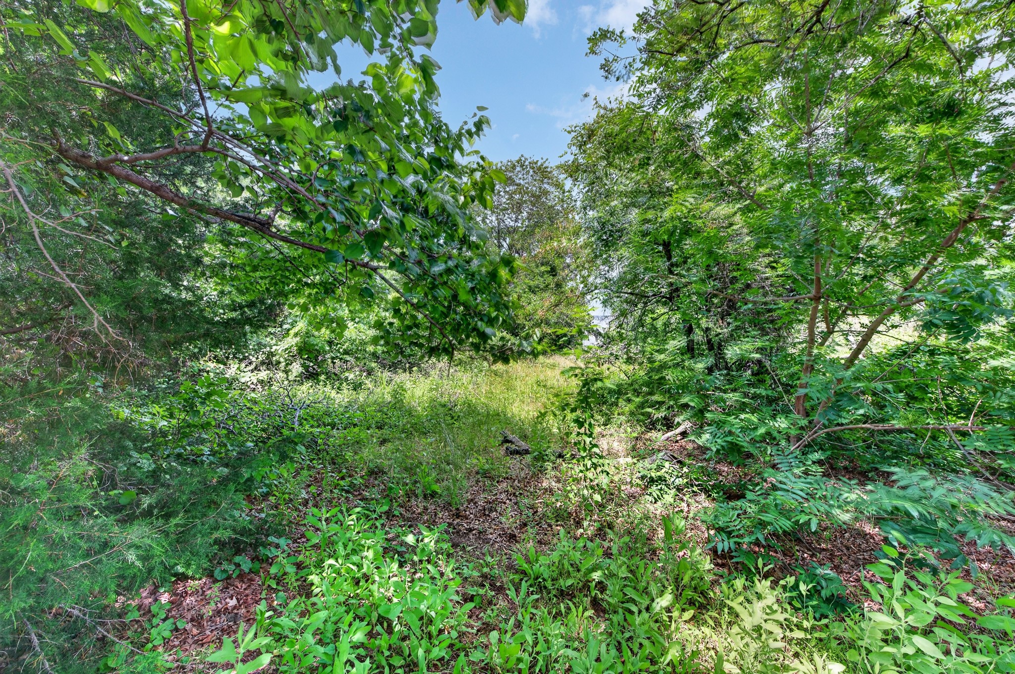 1010 Thousand Oaks Court Southlake TX 76092
