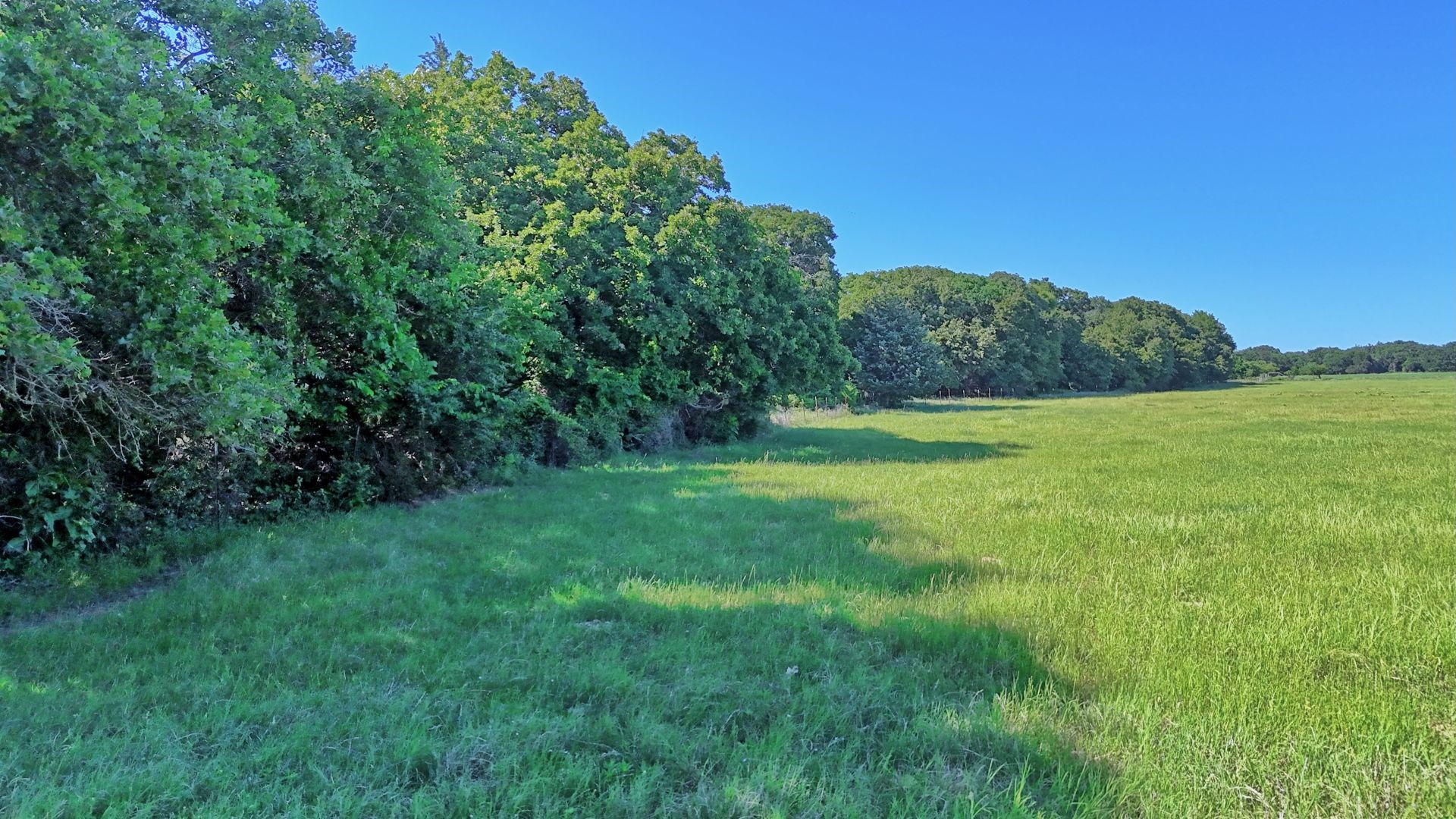 00 Lama Road Bowie TX 76230