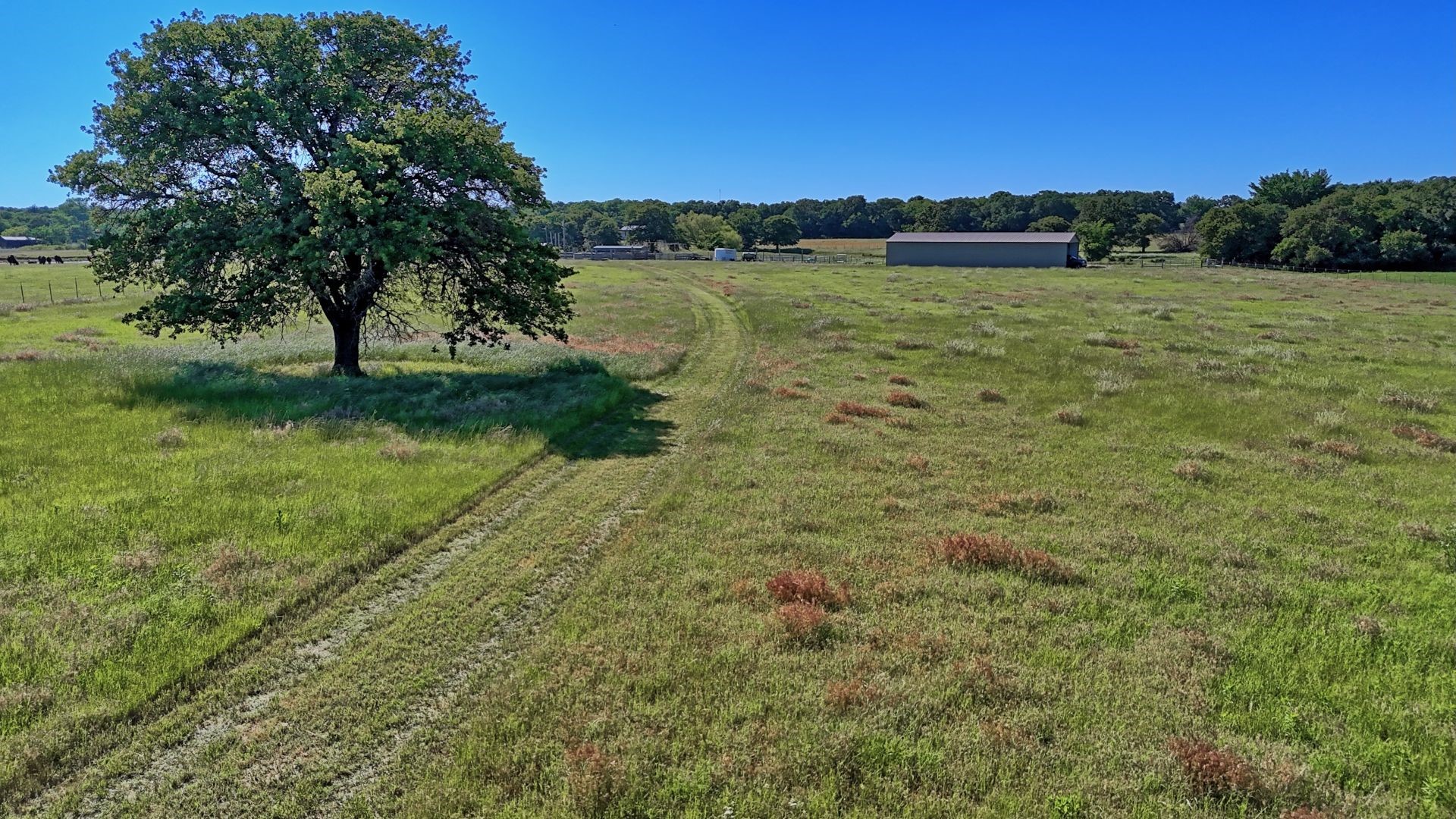 00 Lama Road Bowie TX 76230