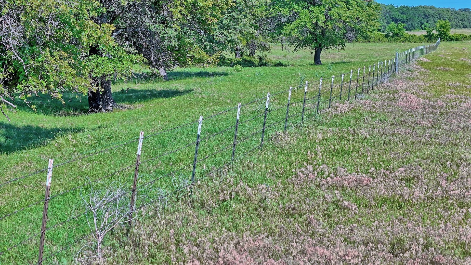 00 Lama Road Bowie TX 76230