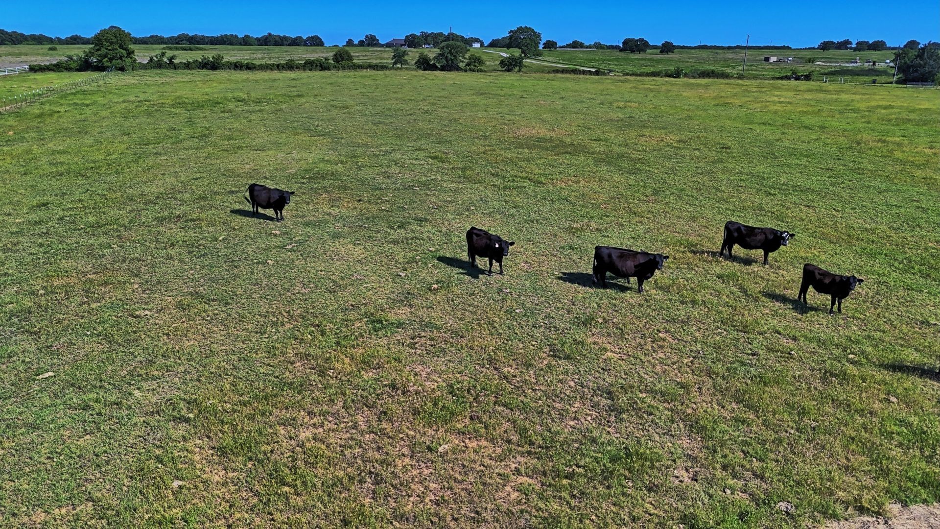 00 Lama Road Bowie TX 76230