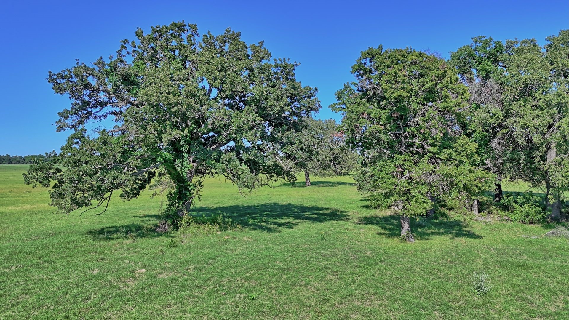 00 Lama Road Bowie TX 76230