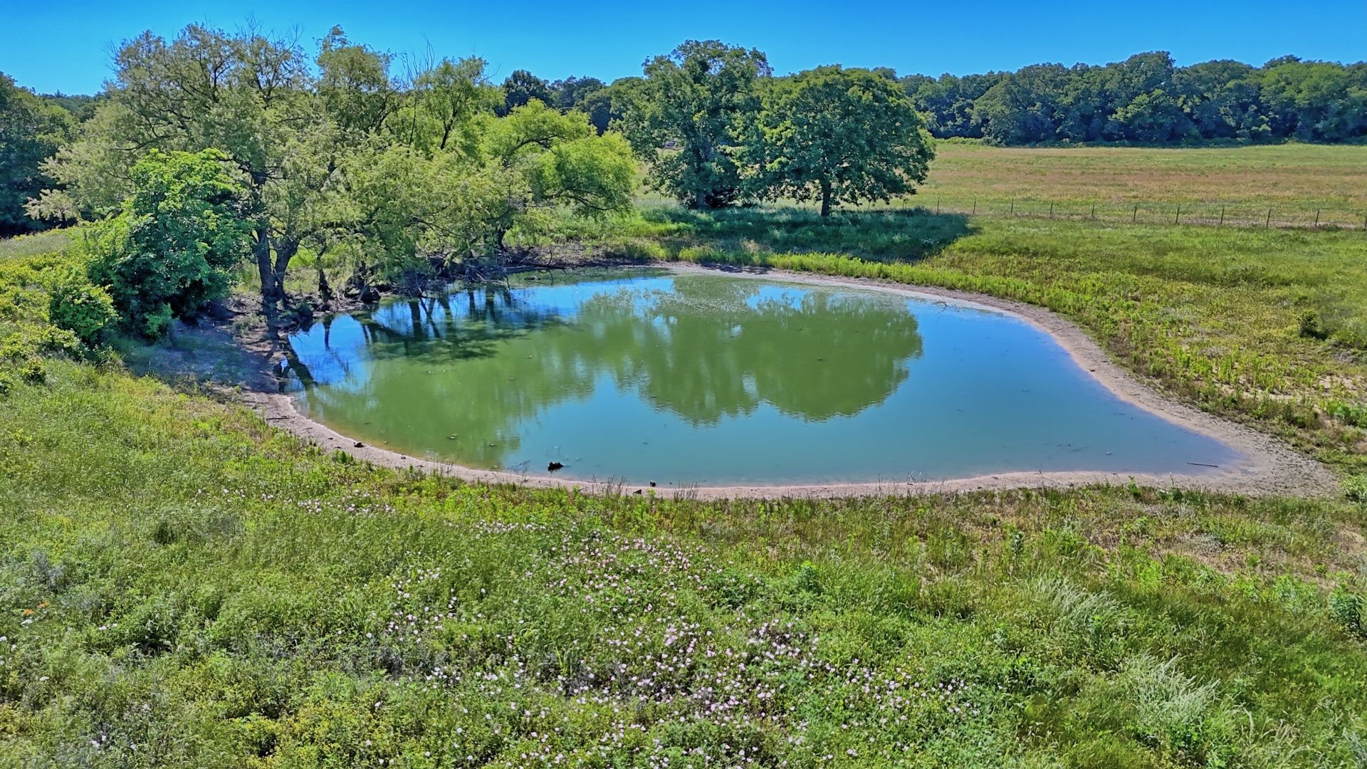 00 Lama Road Bowie TX 76230