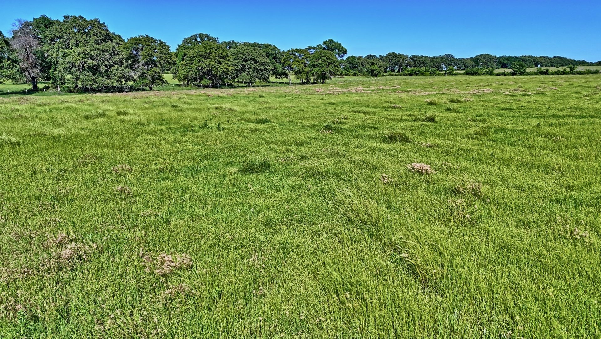 00 Lama Road Bowie TX 76230