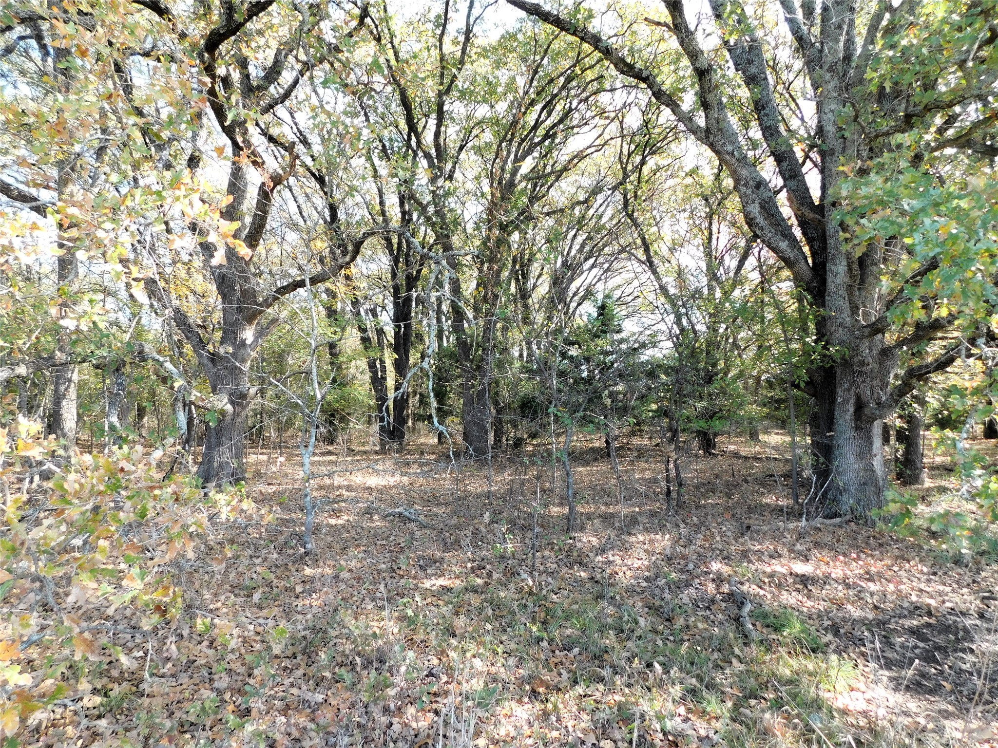 Tbd County Road 3605 Quinlan TX 75474