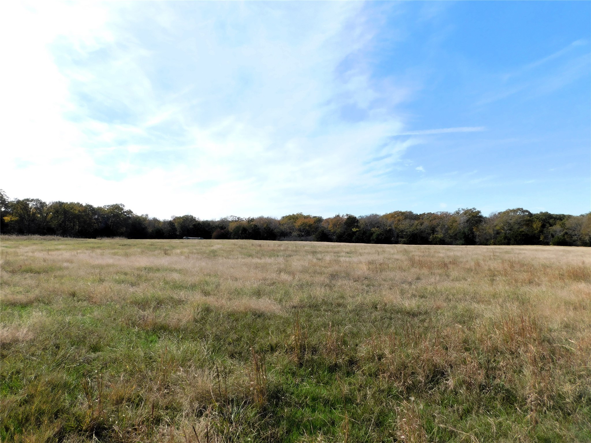 Tbd County Road 3605 Quinlan TX 75474