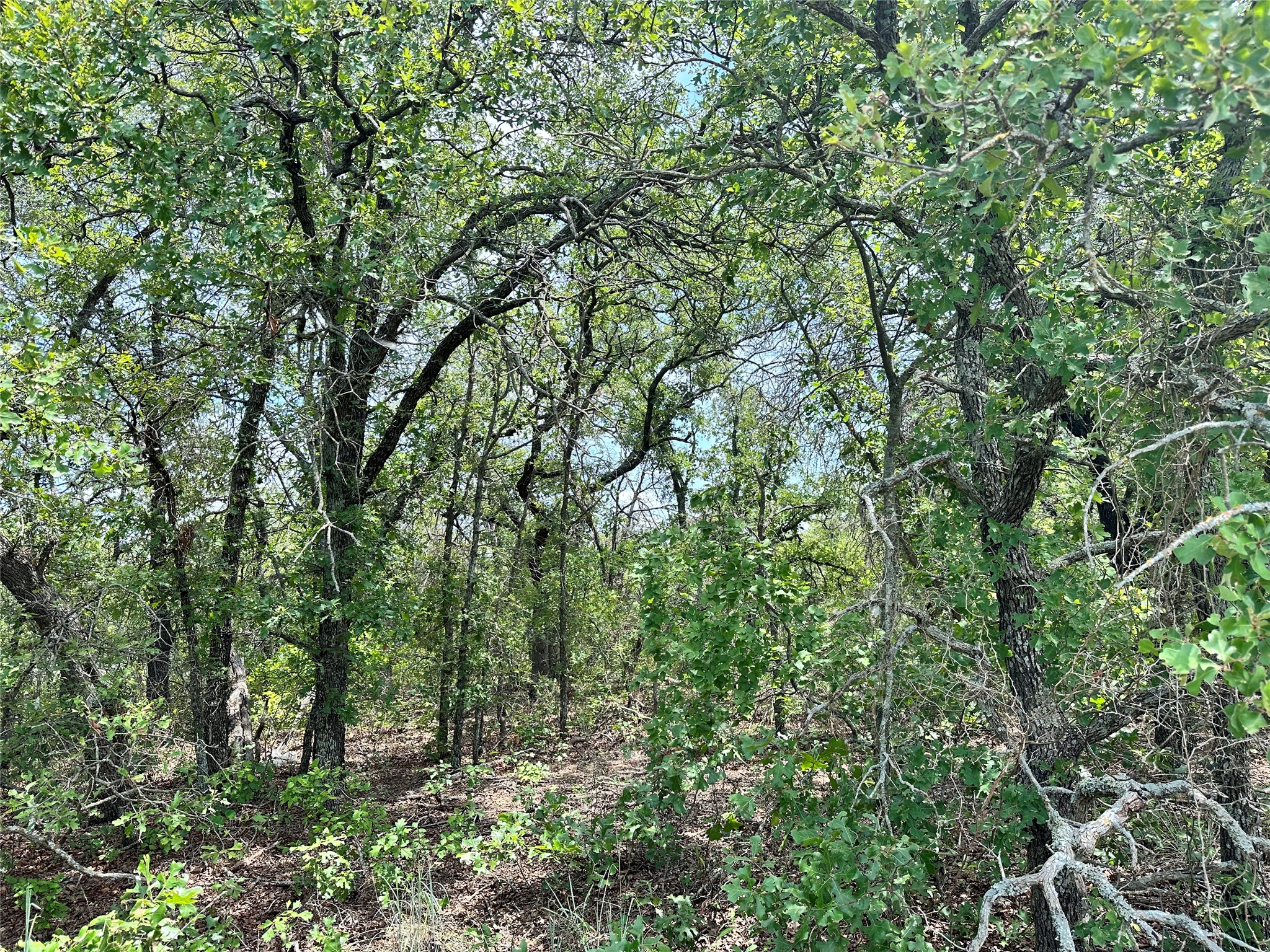 Tbd Highway 206 Cisco TX 76437