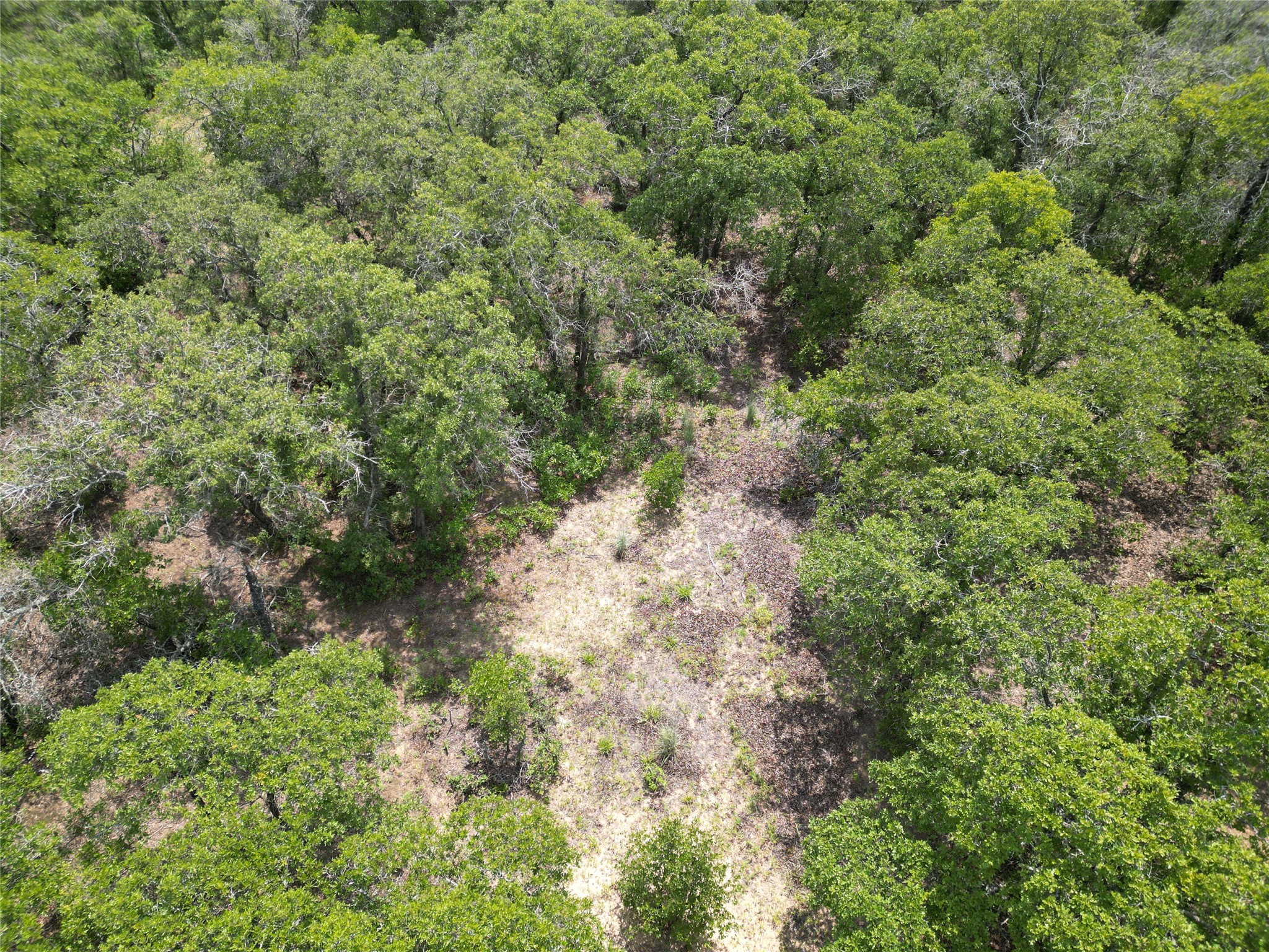 Tbd Highway 206 Cisco TX 76437