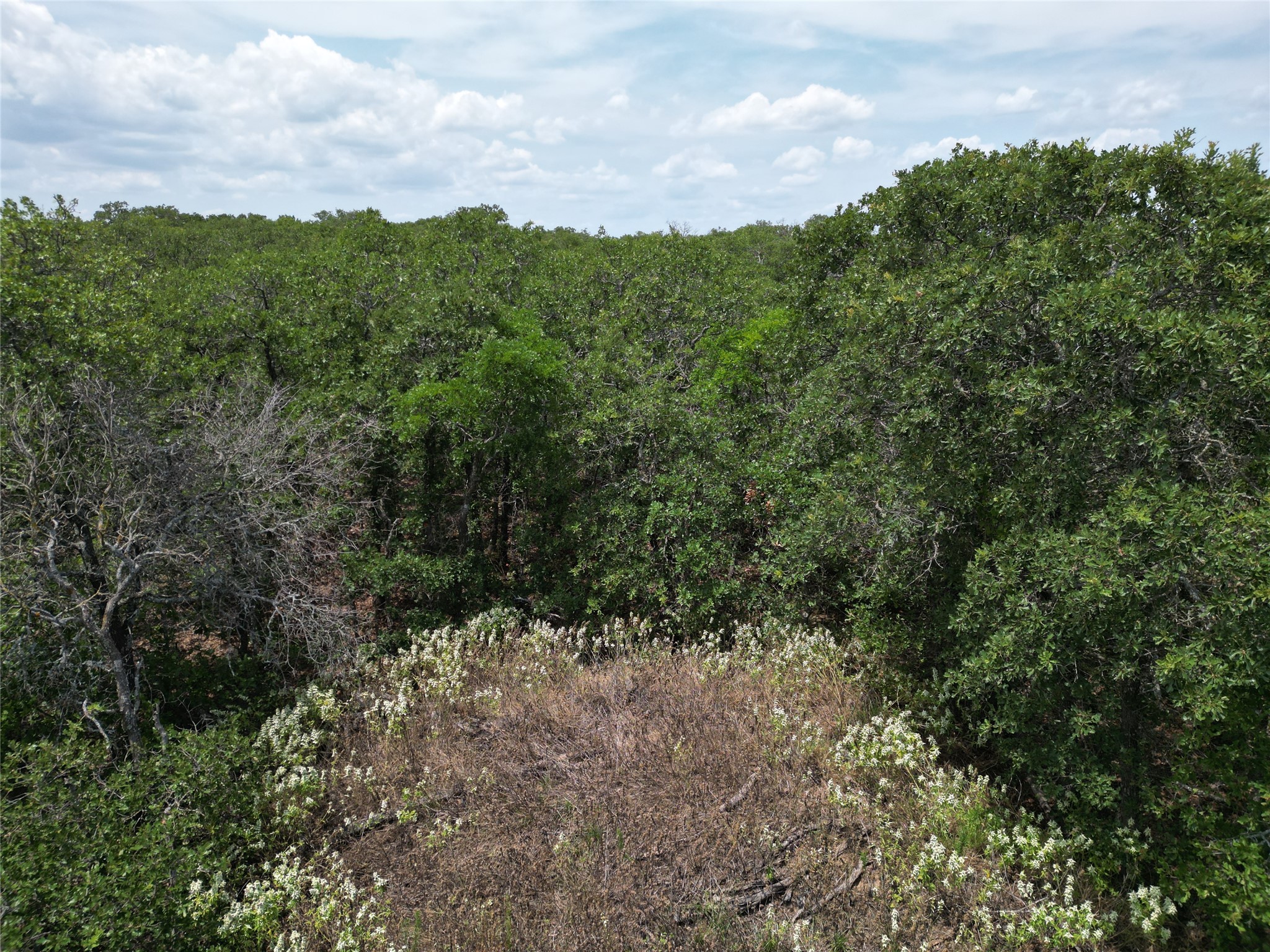 Tbd Highway 206 Cisco TX 76437