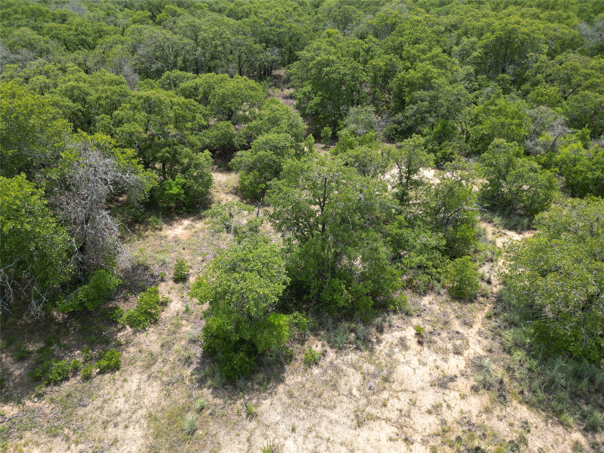 Tbd Highway 206 Cisco TX 76437