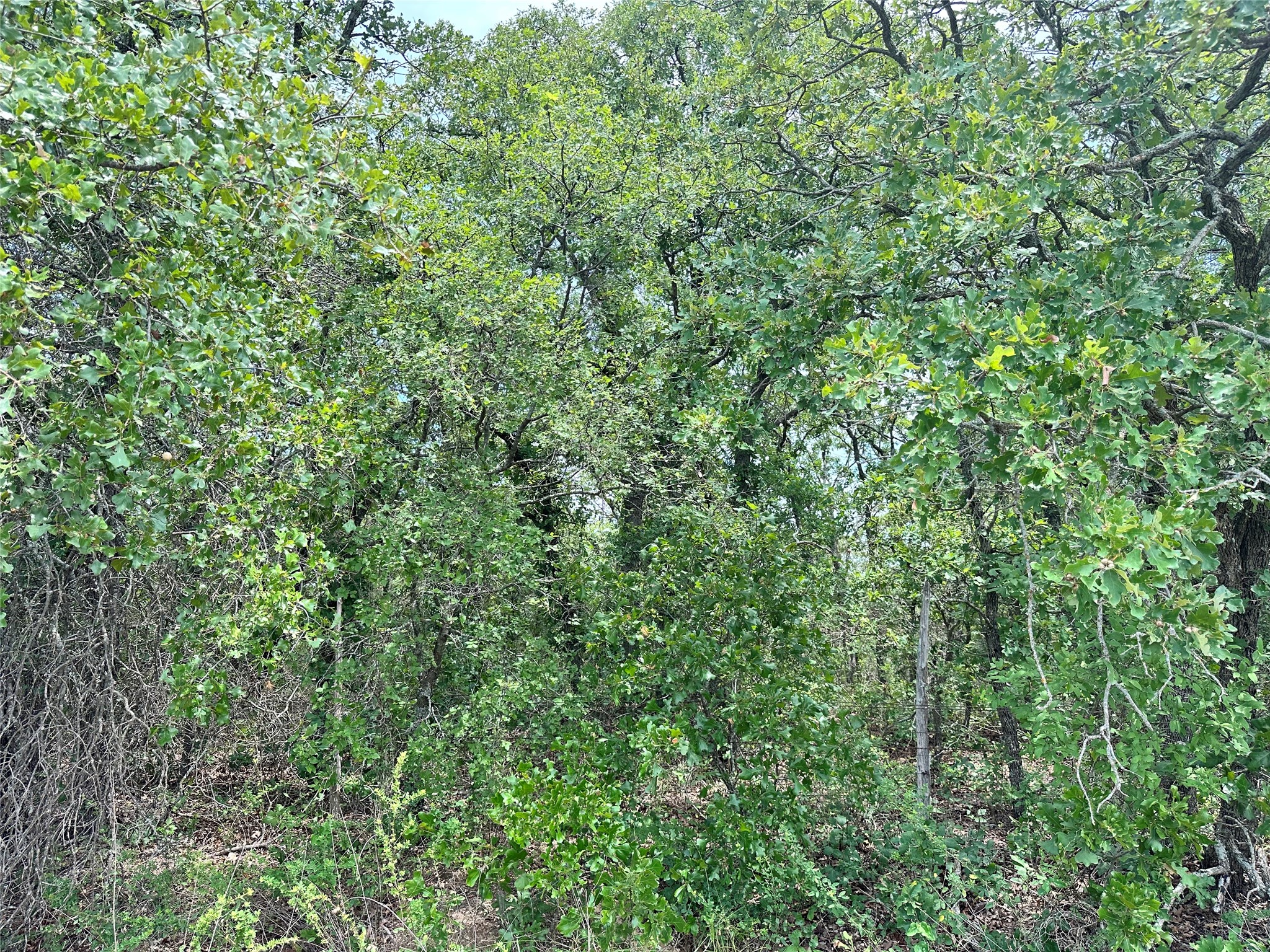 Tbd Highway 206 Cisco TX 76437