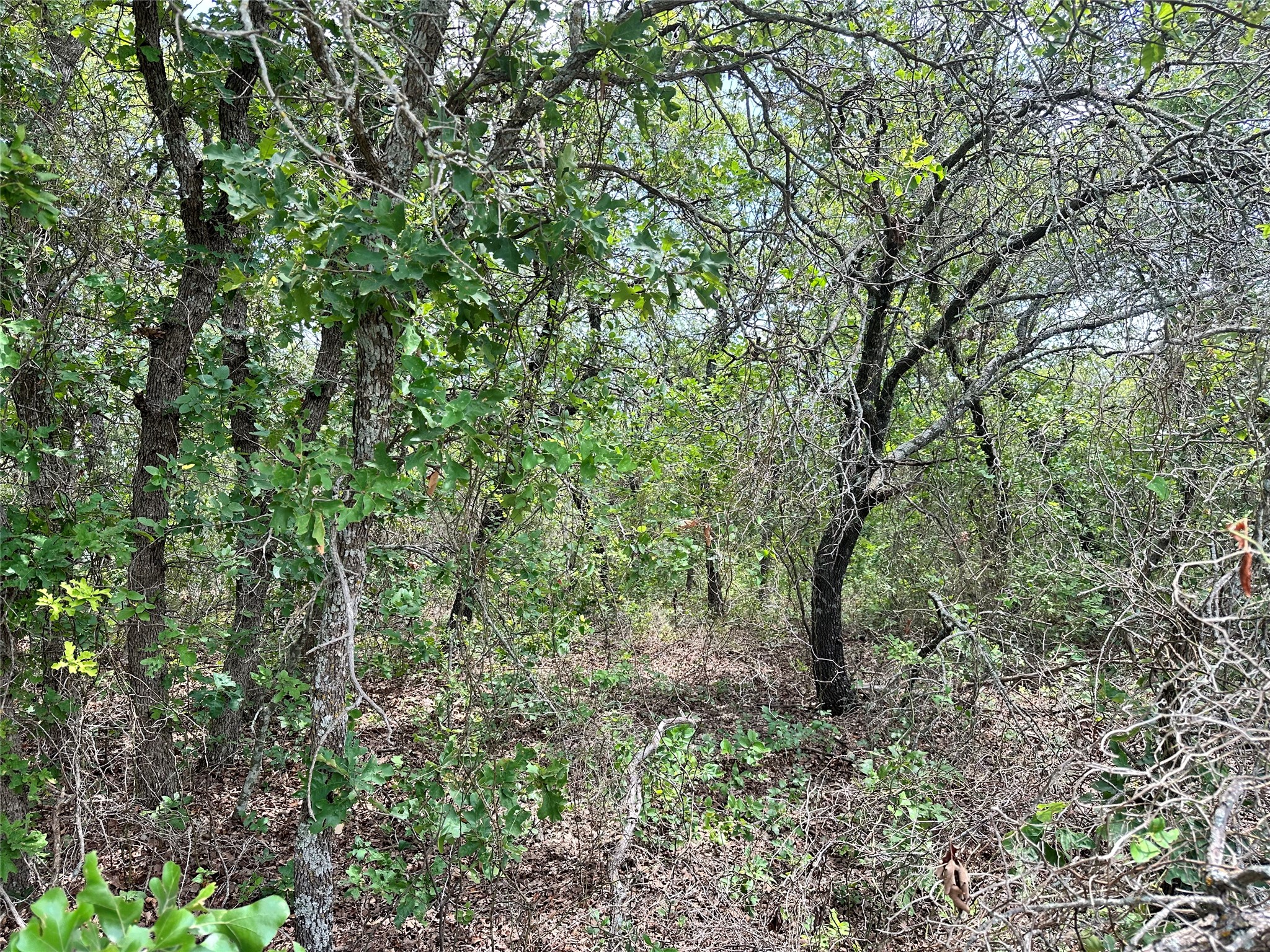 Tbd Highway 206 Cisco TX 76437