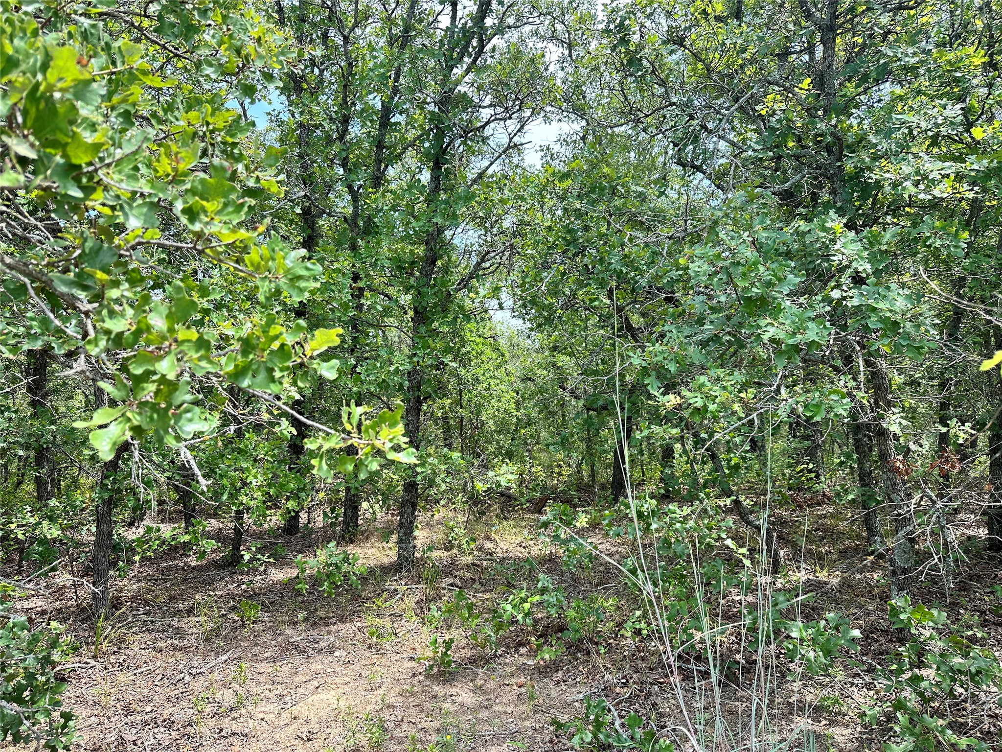 Tbd Highway 206 Cisco TX 76437