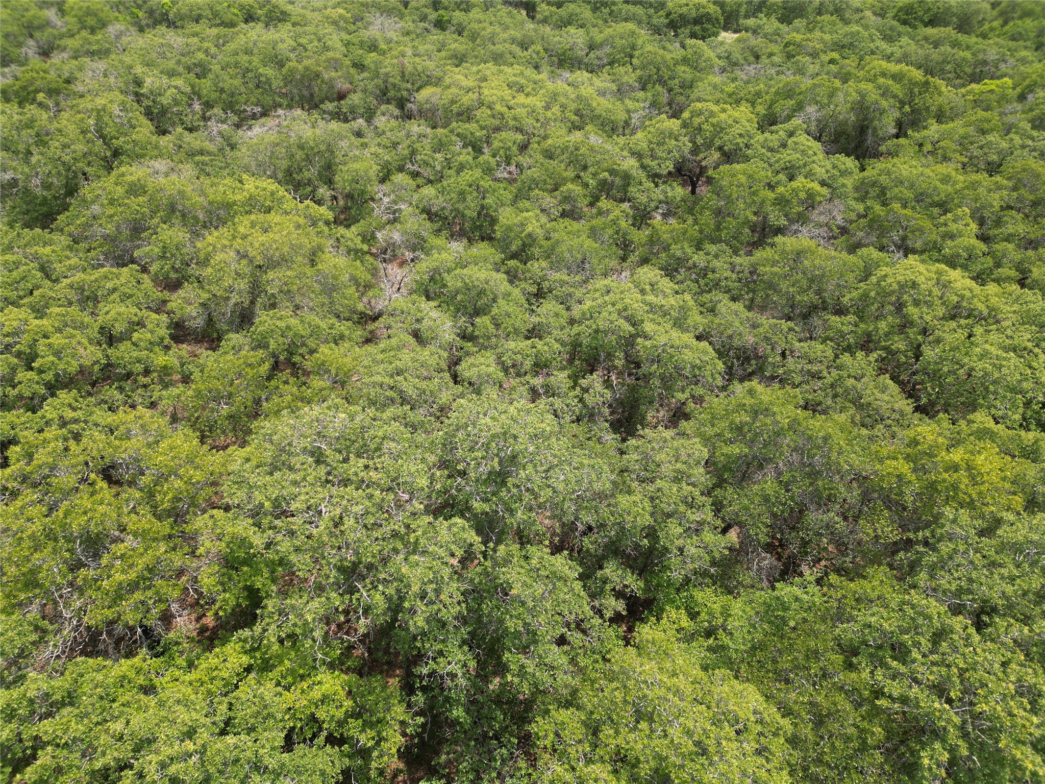Tbd Highway 206 Cisco TX 76437