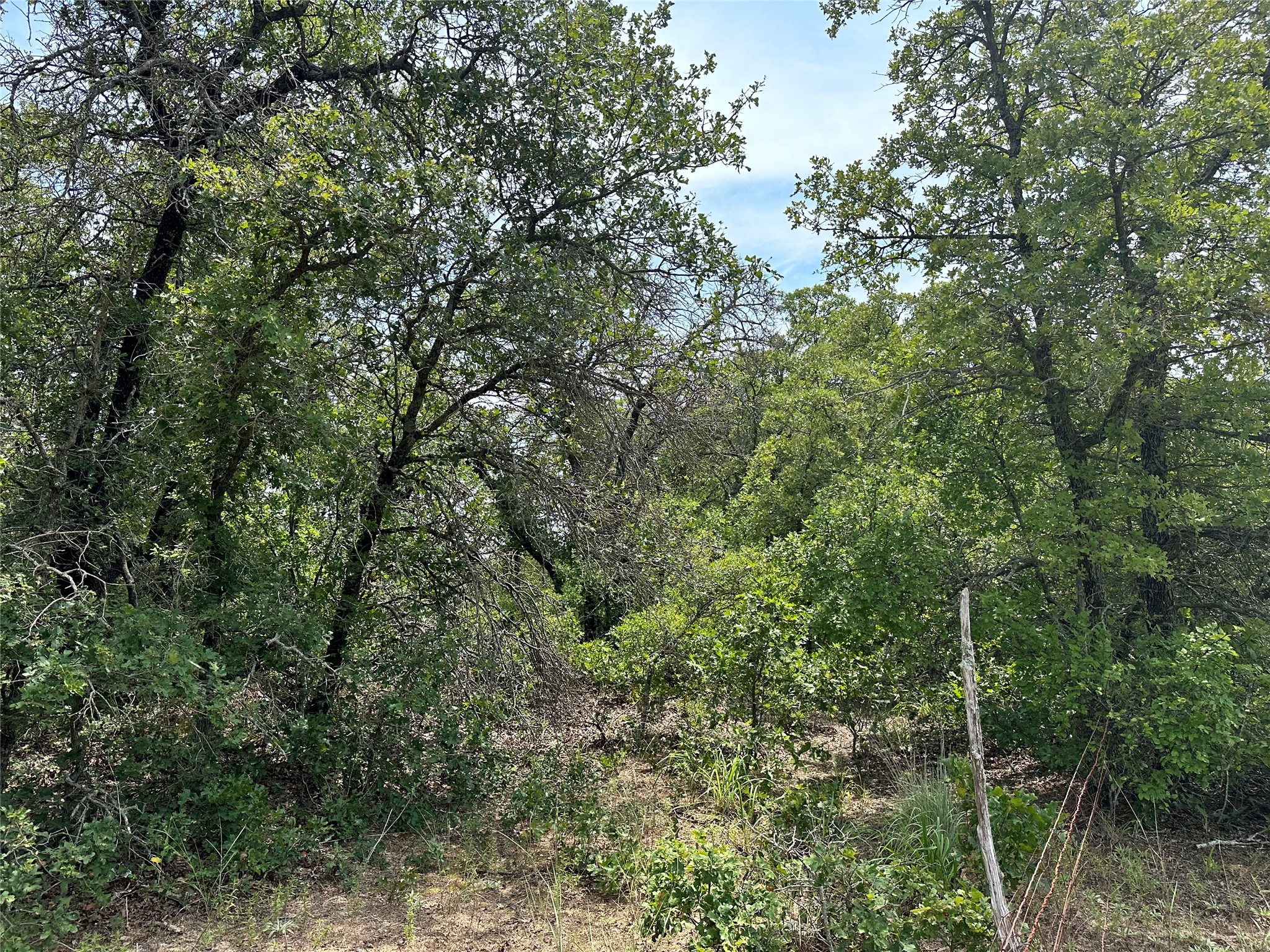 Tbd Highway 206 Cisco TX 76437