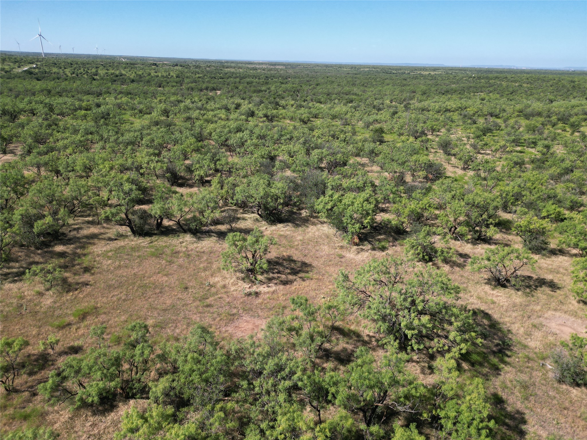 Tbd Highway 206 Cisco TX 76437