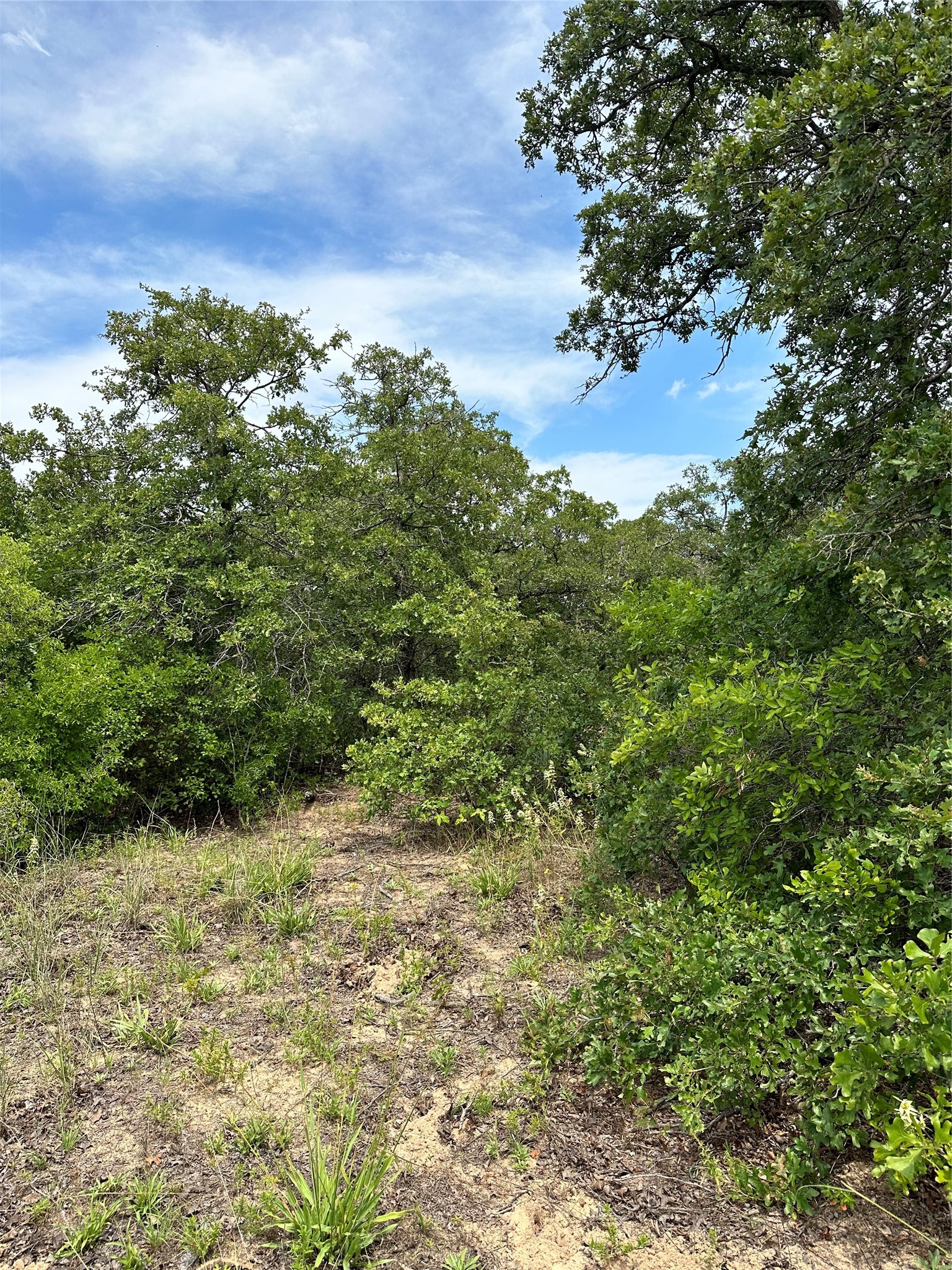 Tbd Highway 206 Cisco TX 76437