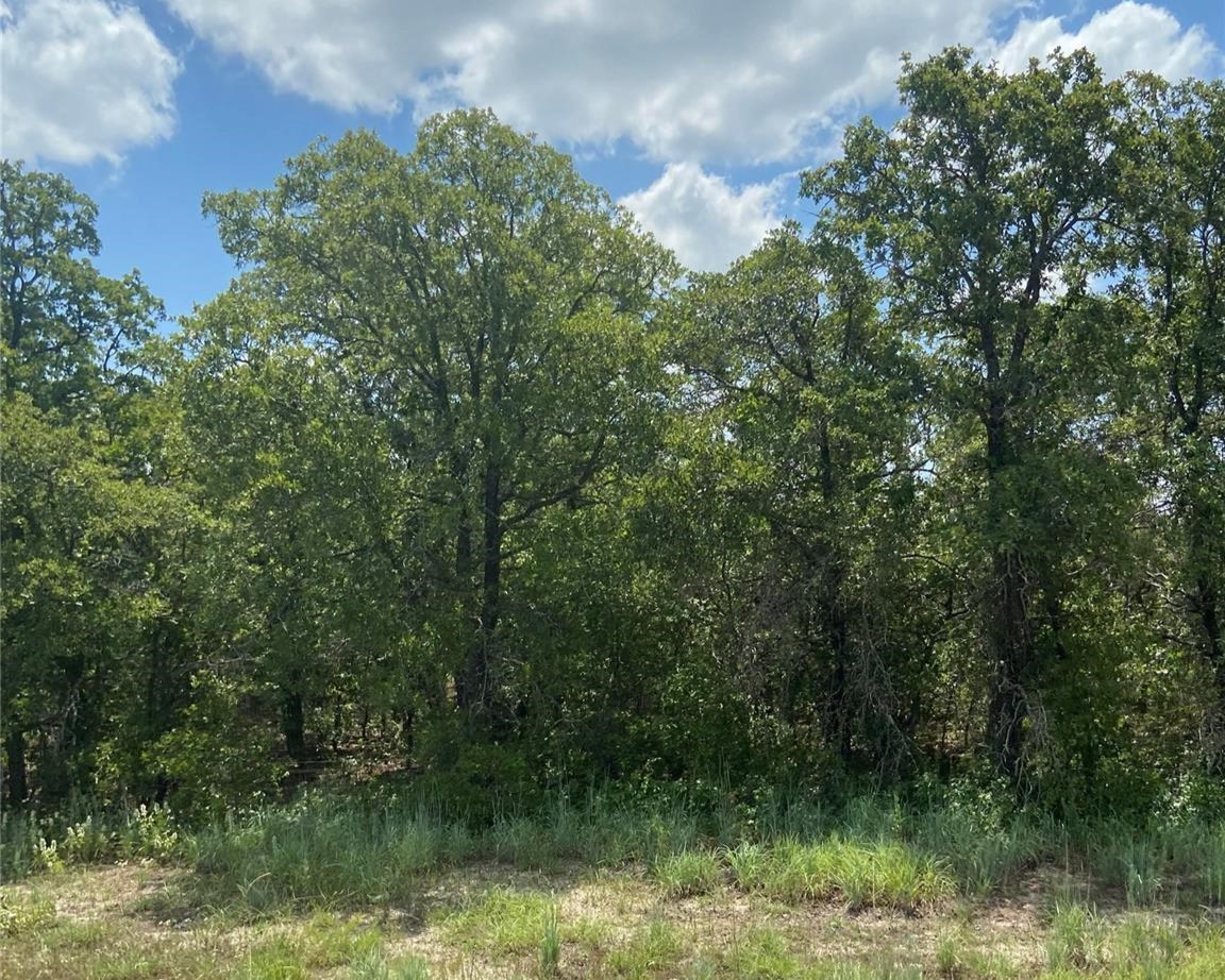 Tbd Highway 206 Cisco TX 76437