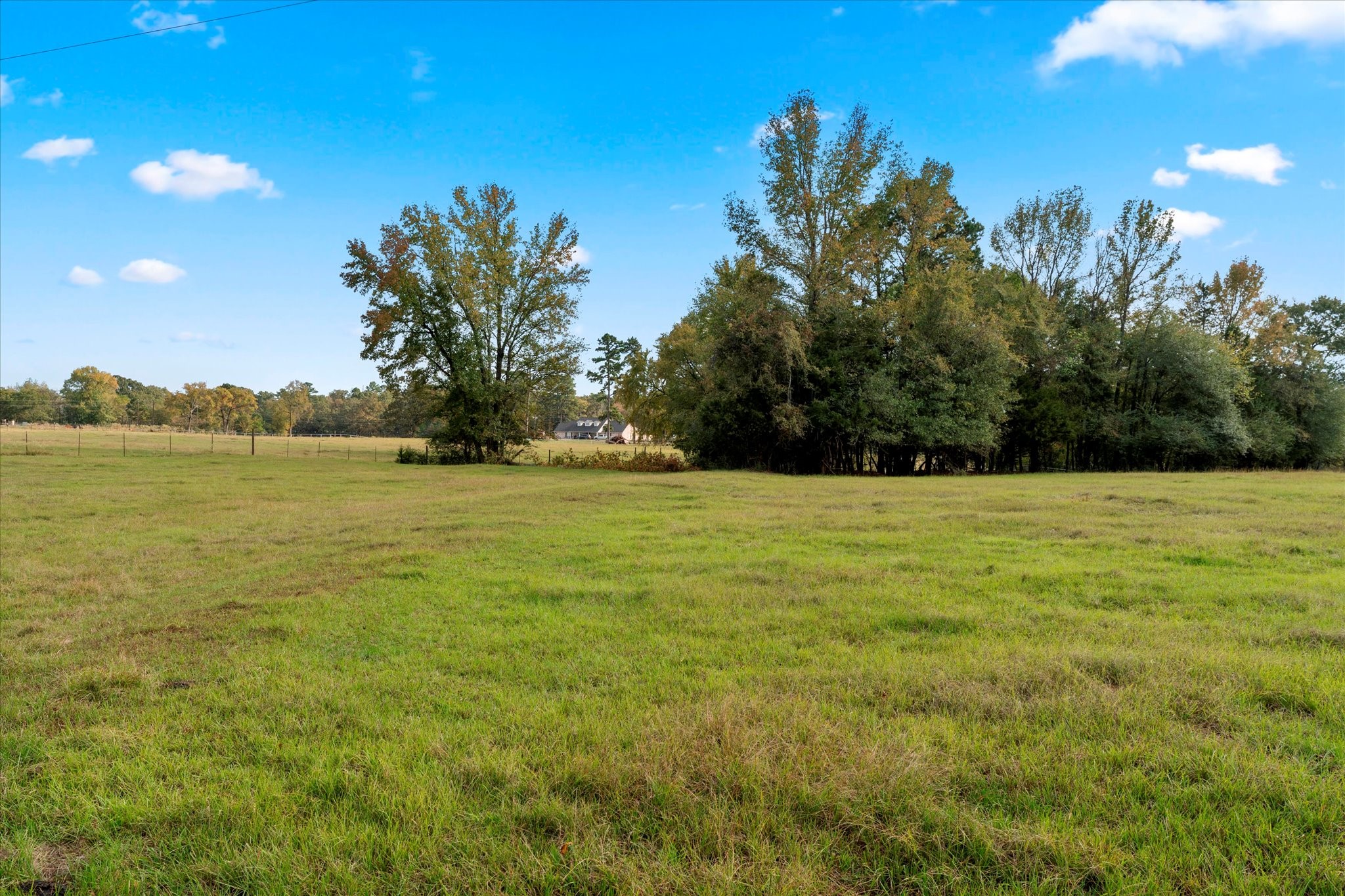 Tbd County Road 1690 Mt Pleasant TX 75455