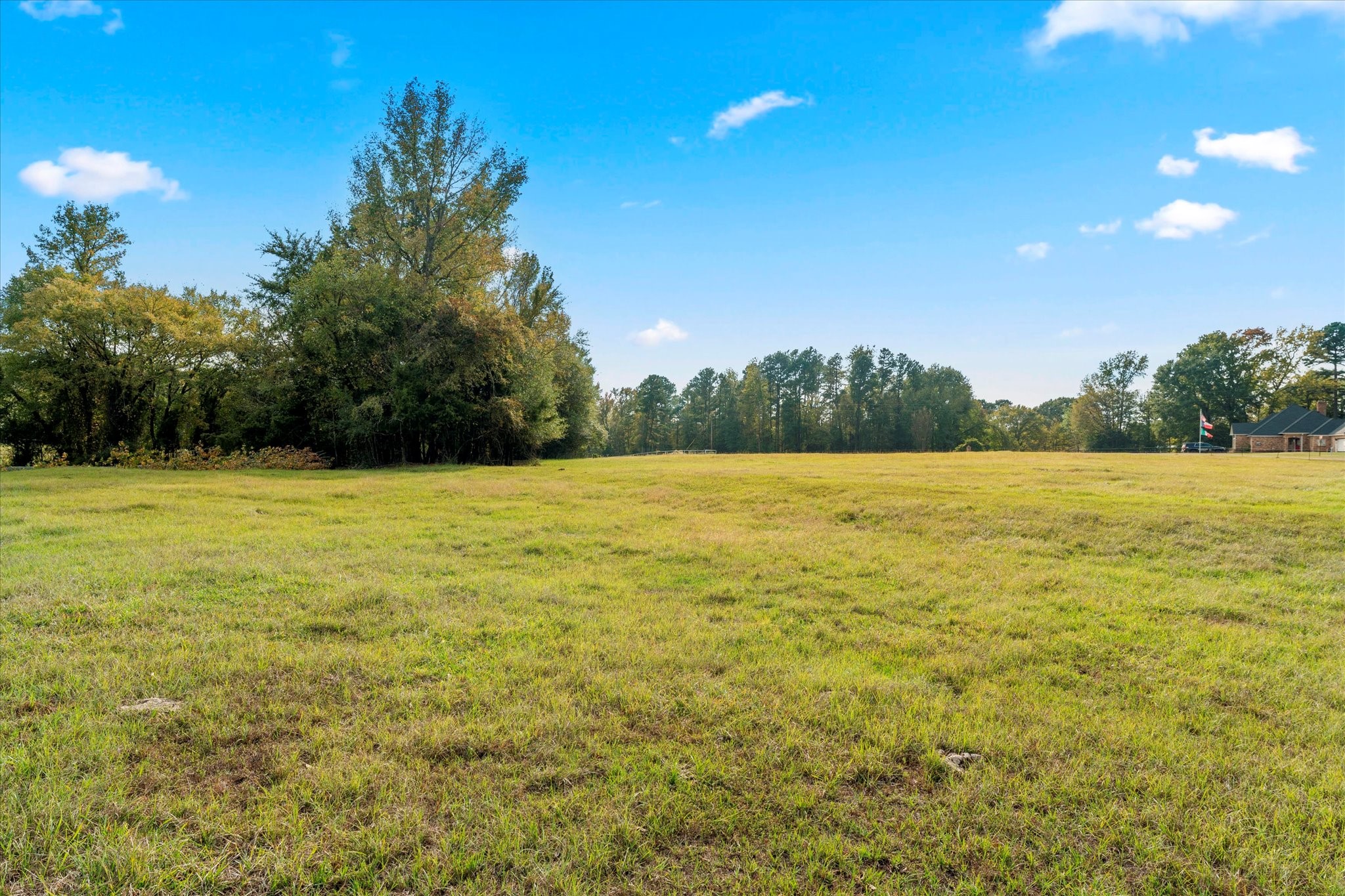 Tbd County Road 1690 Mt Pleasant TX 75455