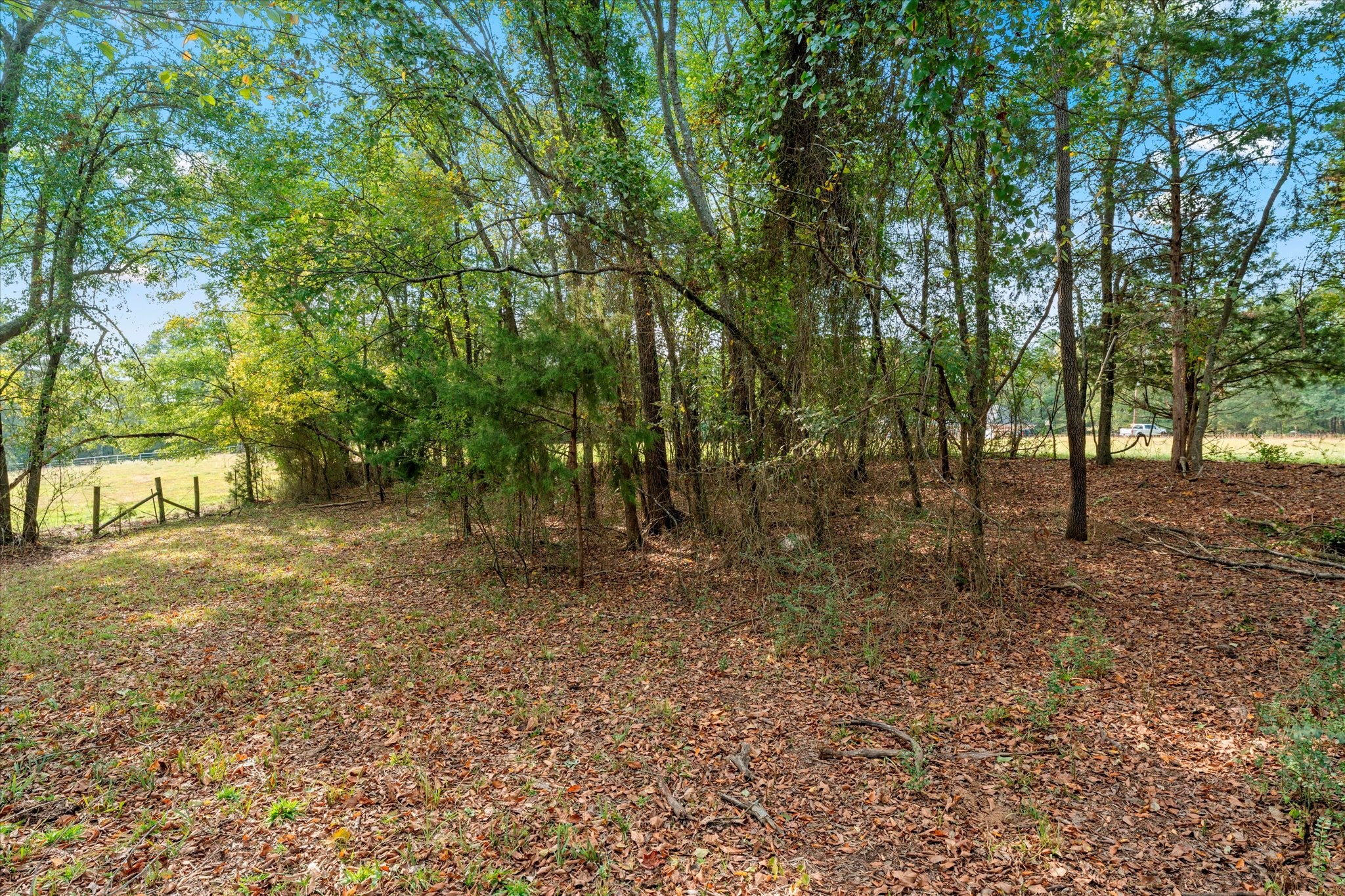 Tbd County Road 1690 Mt Pleasant TX 75455