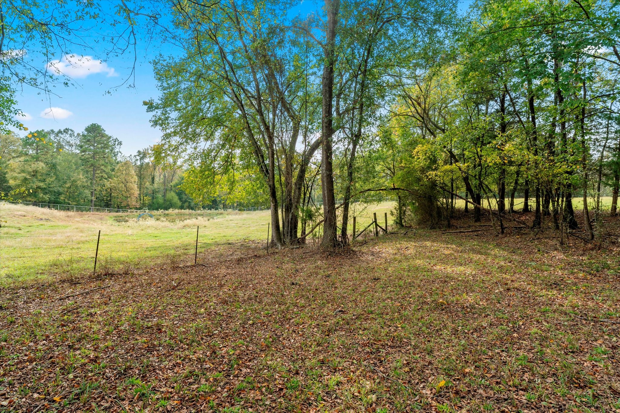 Tbd County Road 1690 Mt Pleasant TX 75455