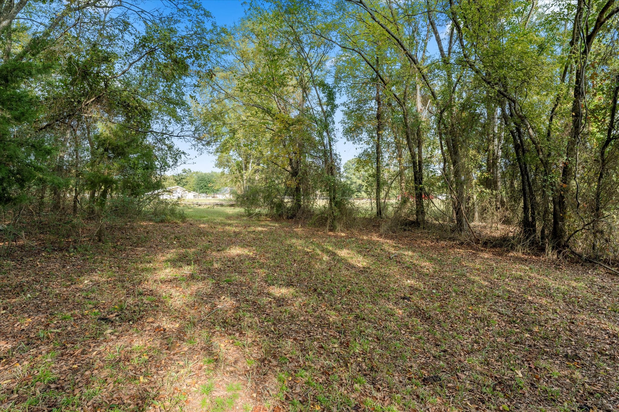 Tbd County Road 1690 Mt Pleasant TX 75455