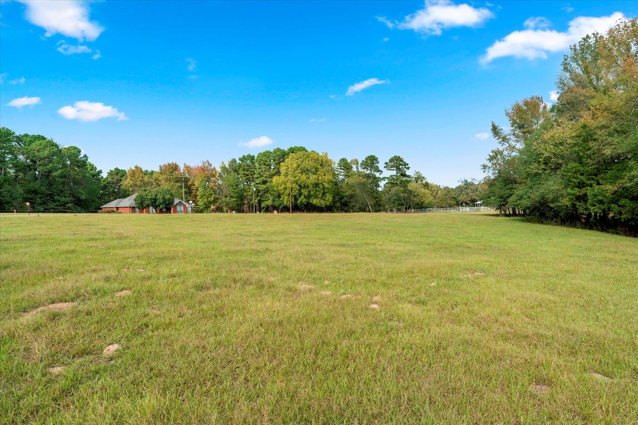 Tbd County Road 1690 Mt Pleasant TX 75455