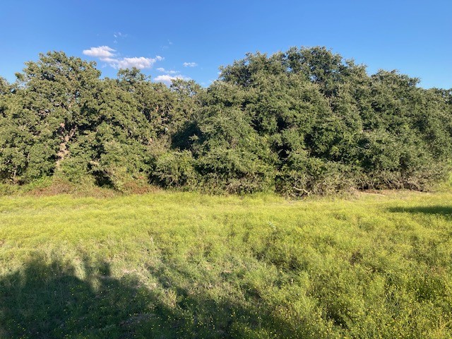 Tbd Cr 517 Stephenville TX 76401
