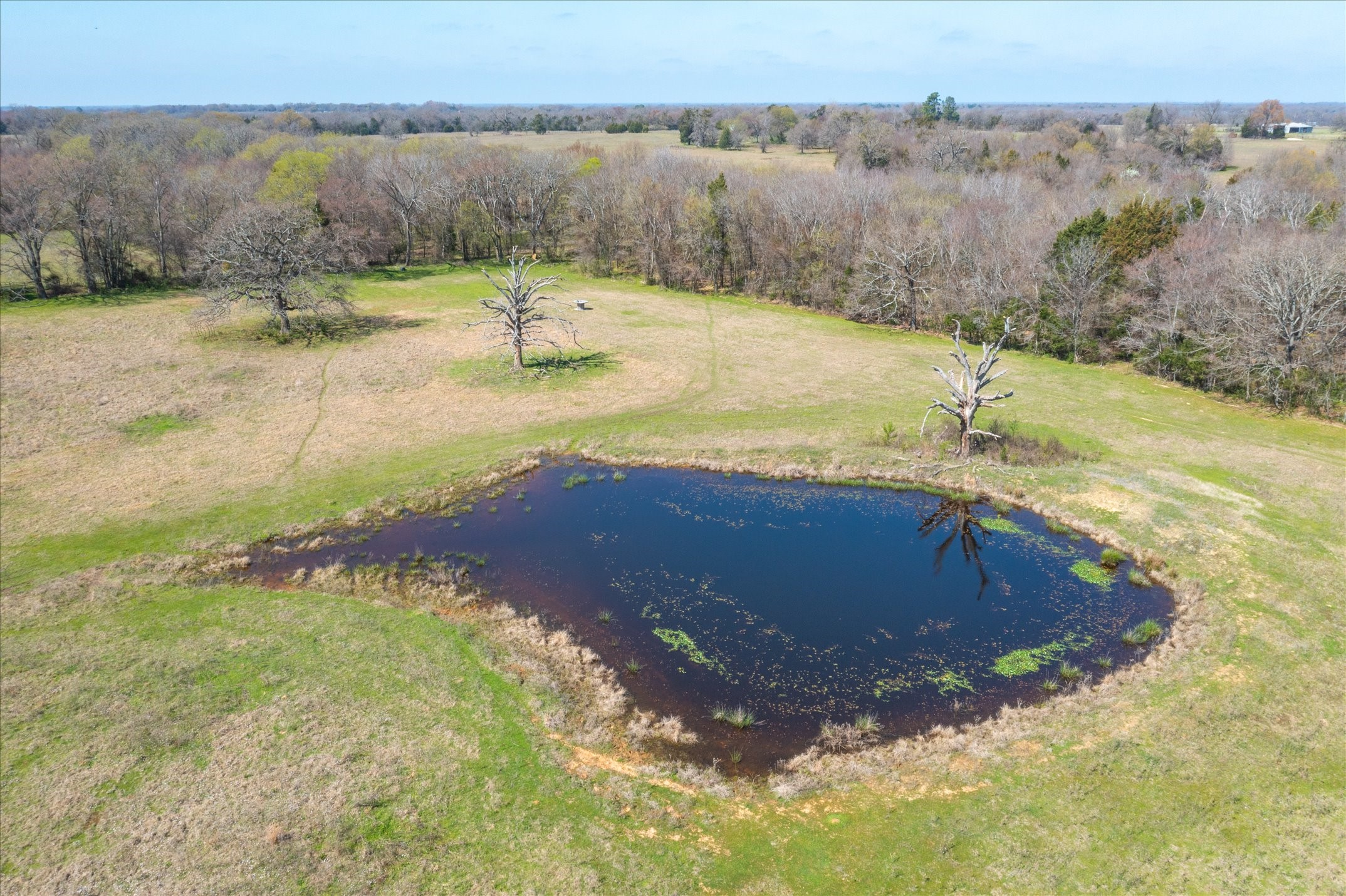 Tbd Vz County Road 1818 Grand Saline TX 75140