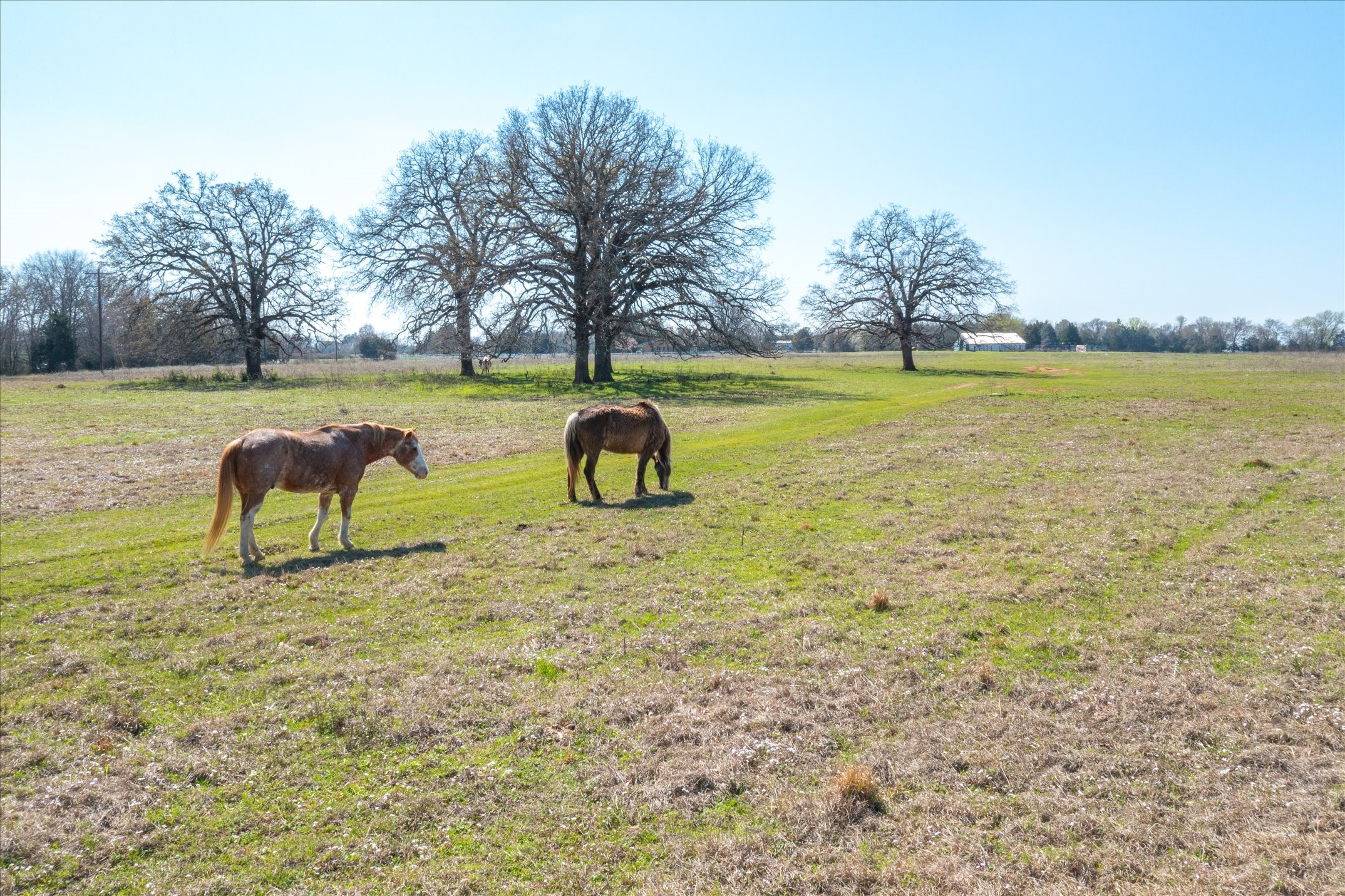 Tbd Vz County Road 1818 Grand Saline TX 75140
