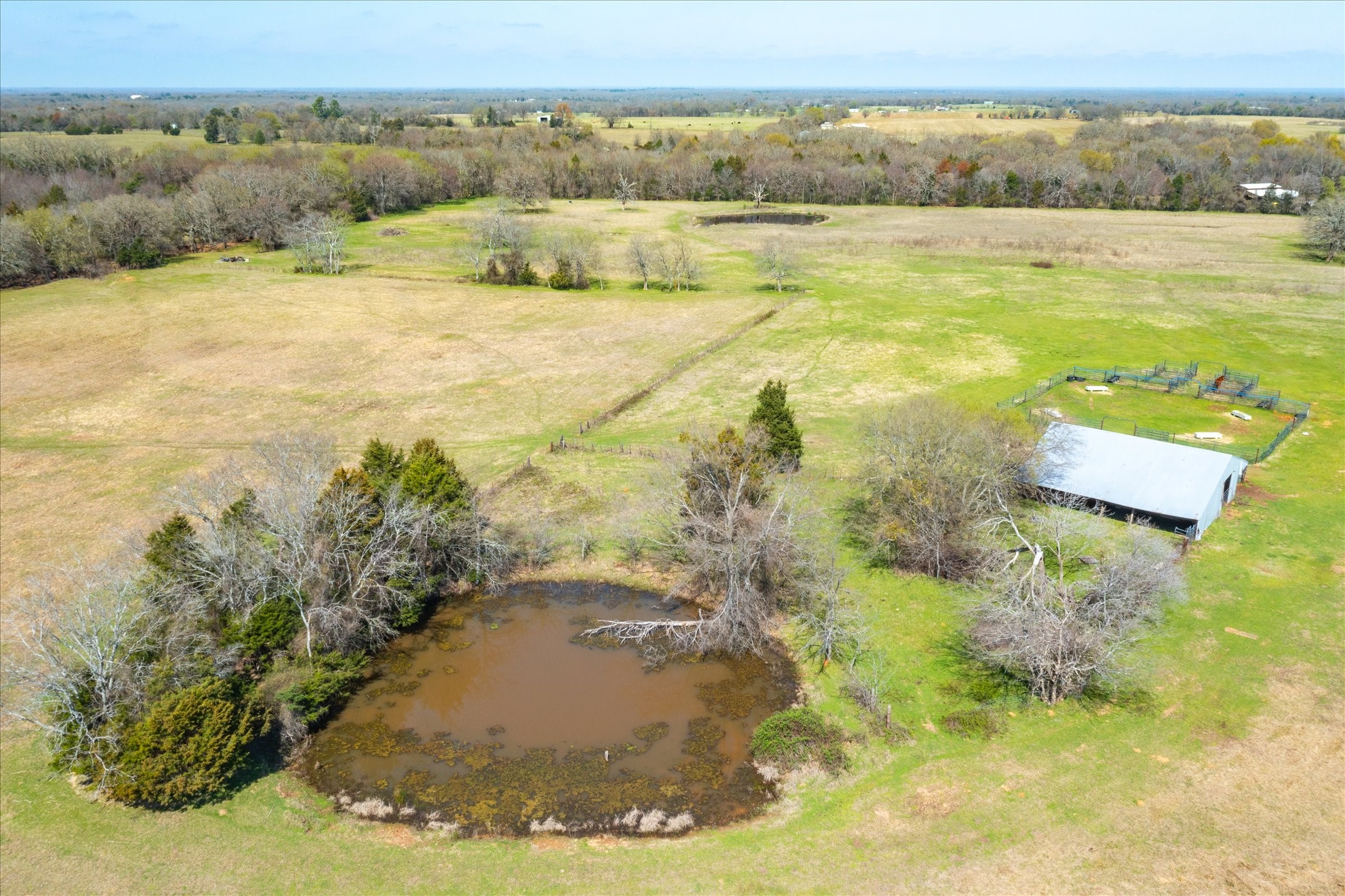 Tbd Vz County Road 1818 Grand Saline TX 75140