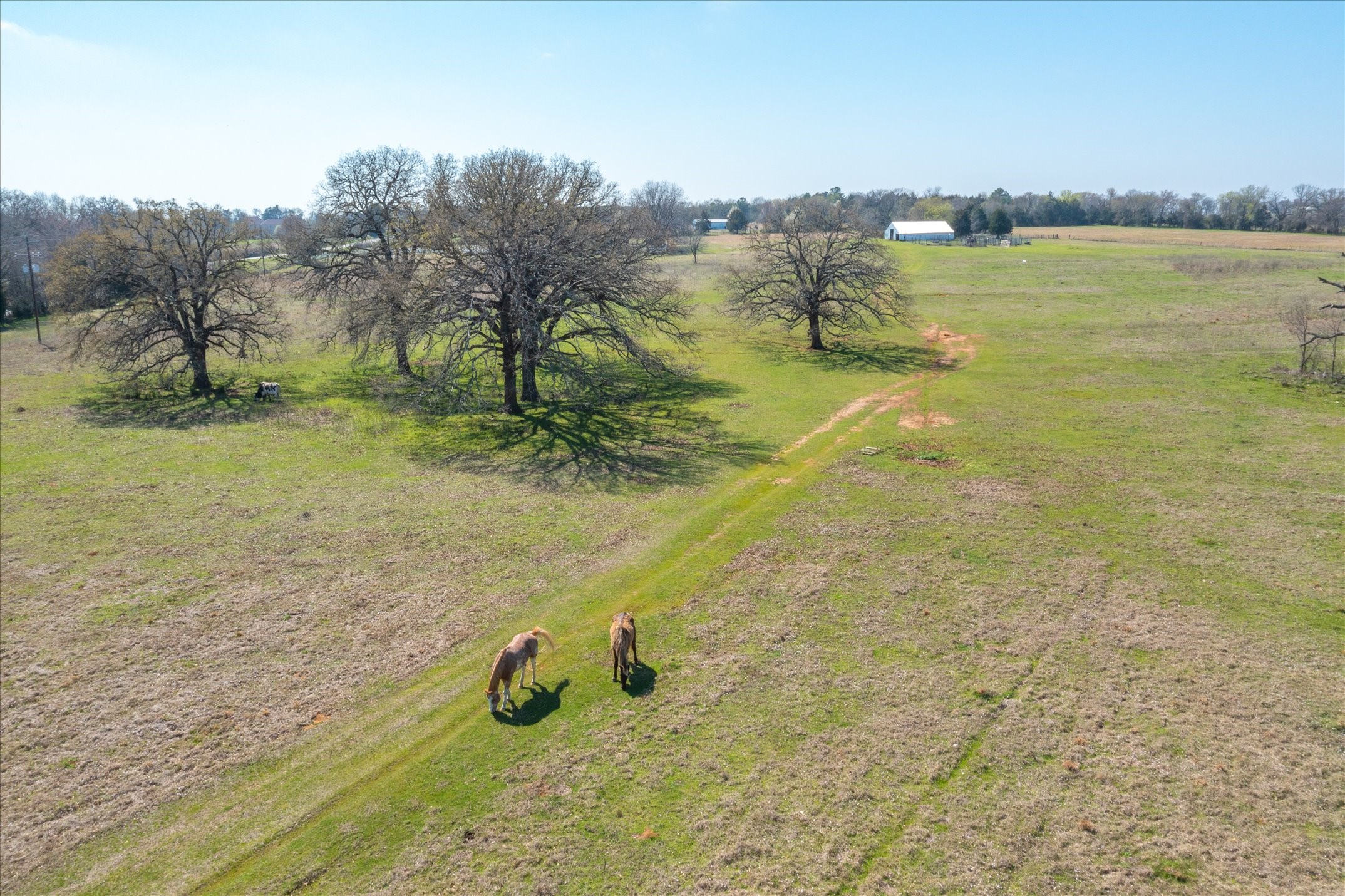 Tbd Vz County Road 1818 Grand Saline TX 75140