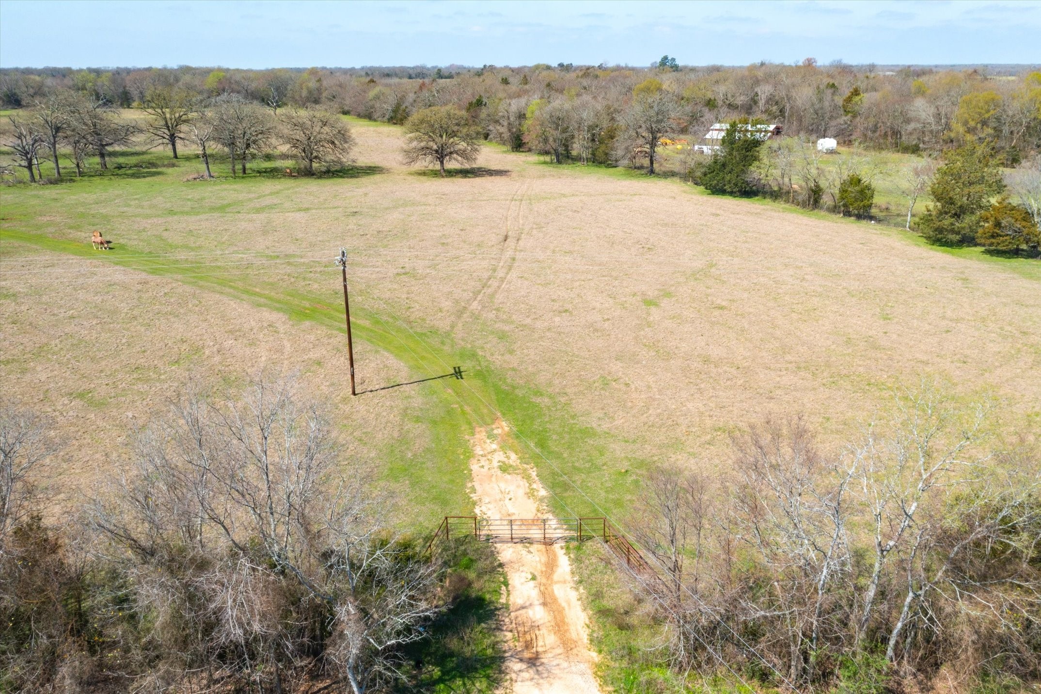 Tbd Vz County Road 1818 Grand Saline TX 75140