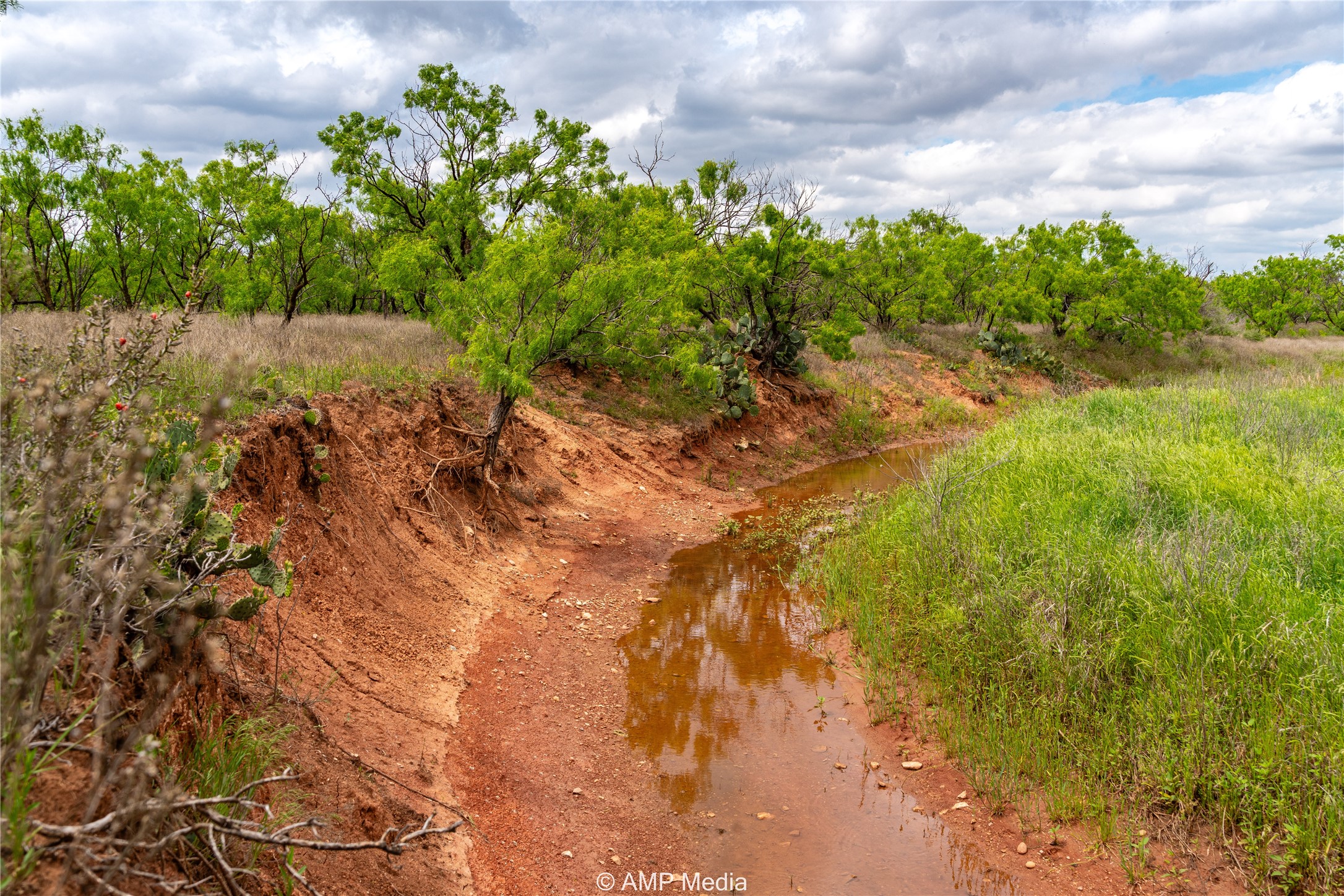 Tbd Cr 195 Anson TX 79501