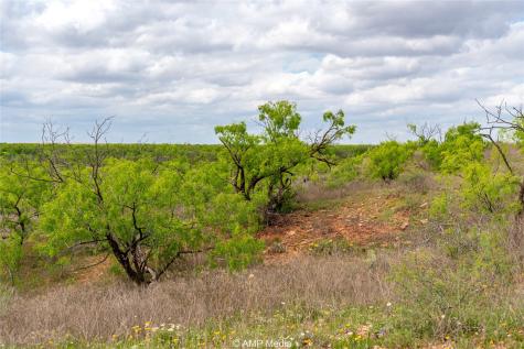 Tbd Cr 195 Anson TX 79501