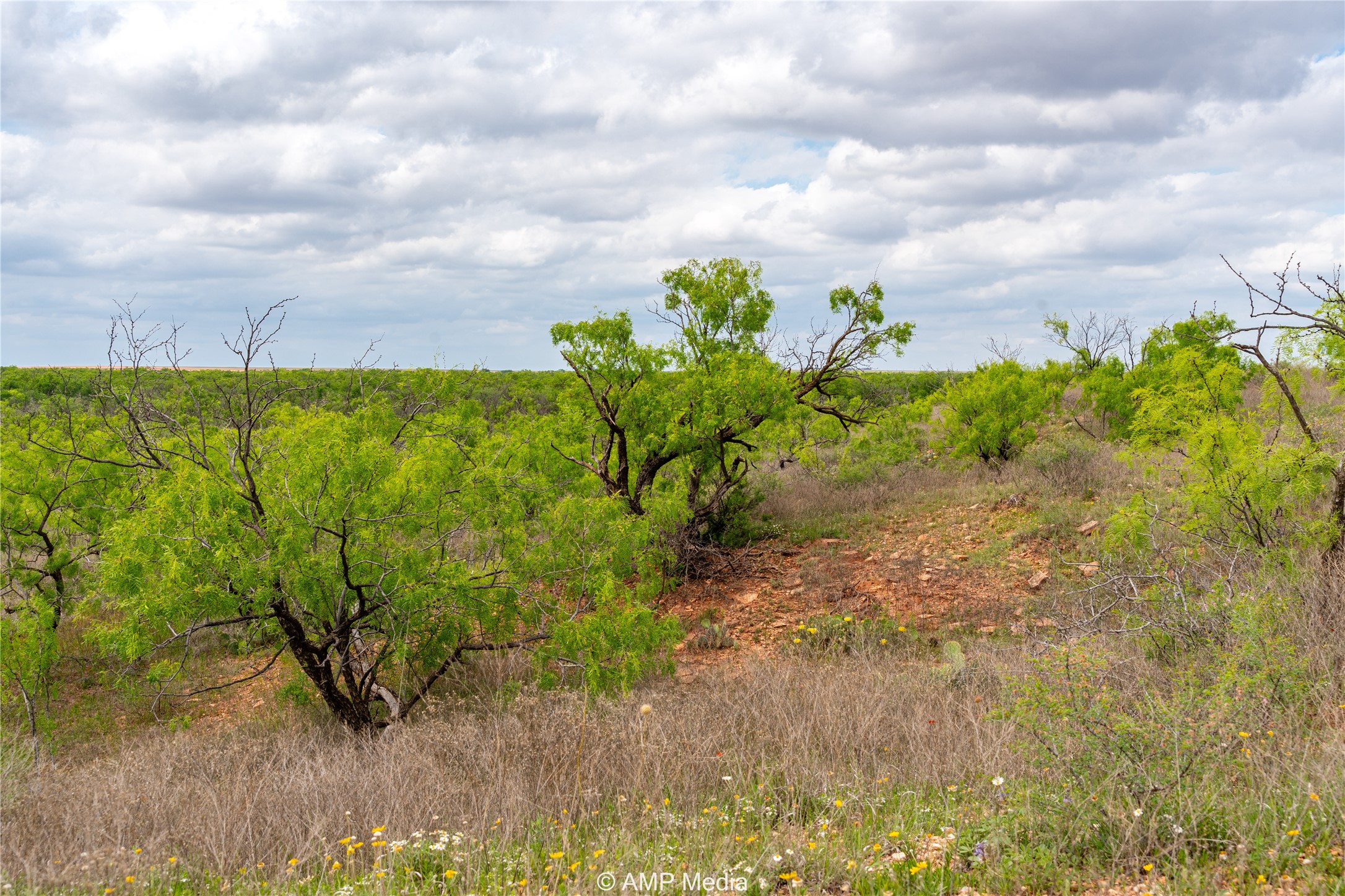 Tbd Cr 195 Anson TX 79501