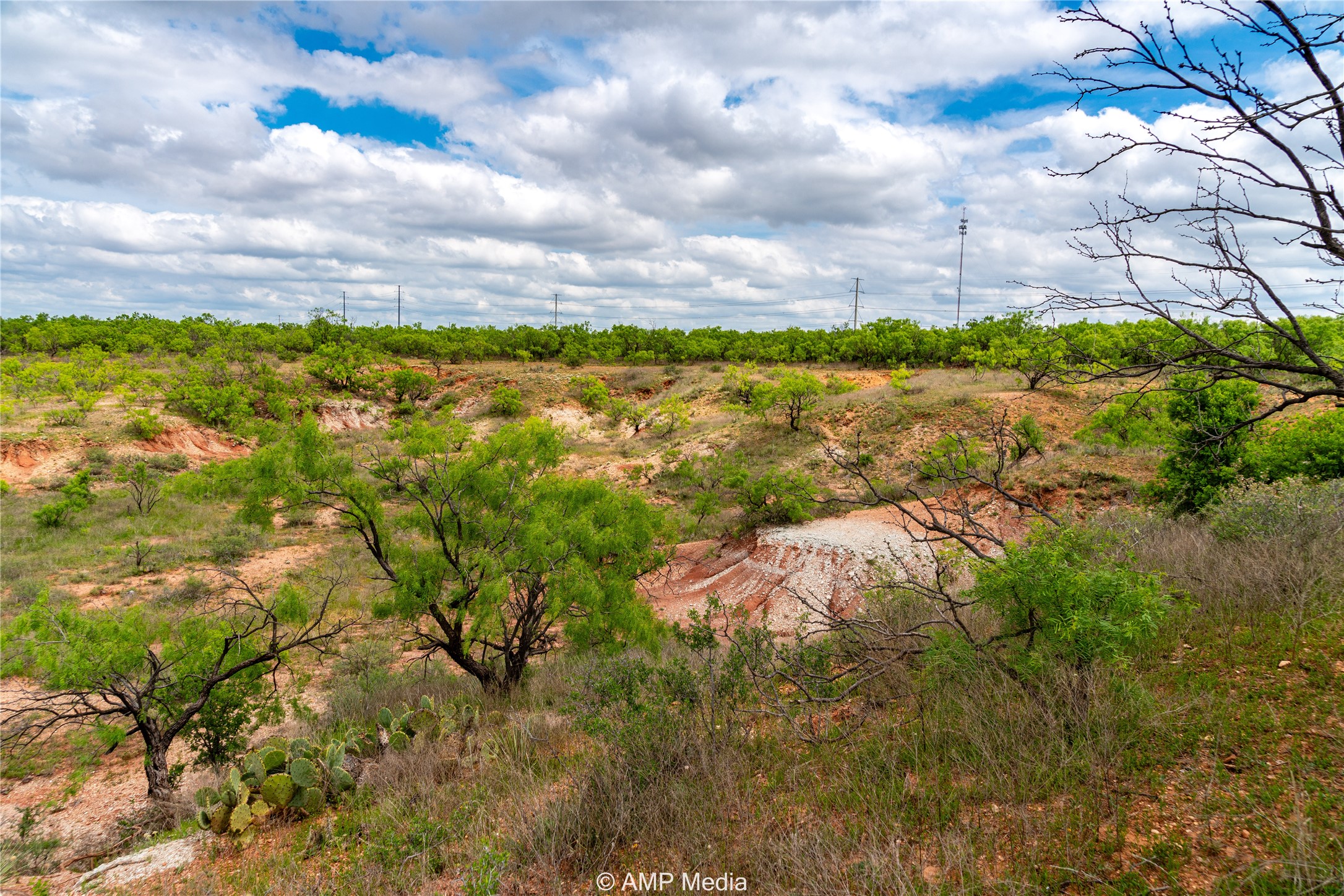 Tbd Cr 195 Anson TX 79501