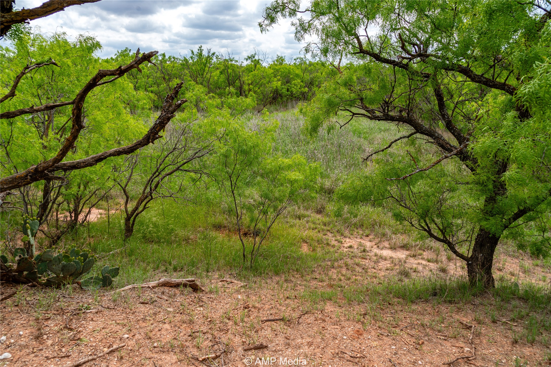 Tbd Cr 195 Anson TX 79501